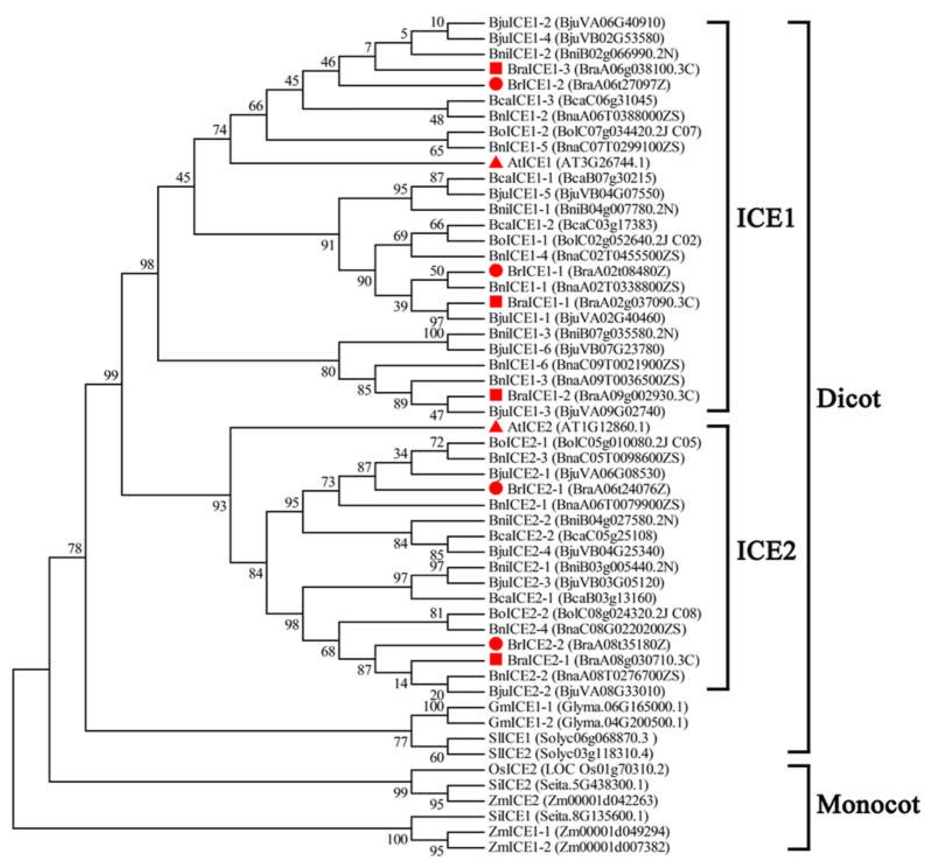 Preprints 108537 g001