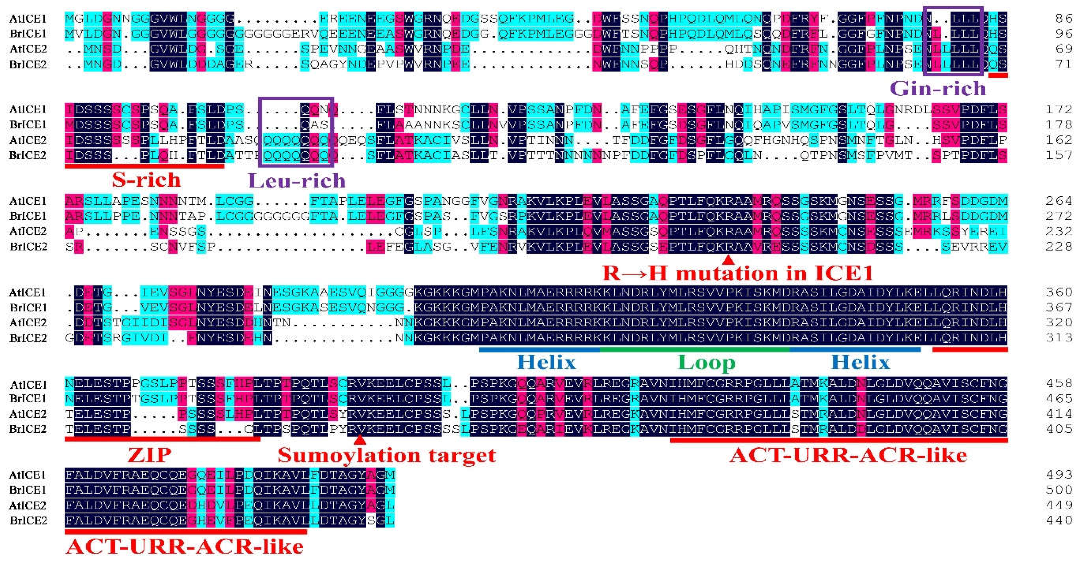 Preprints 108537 g003