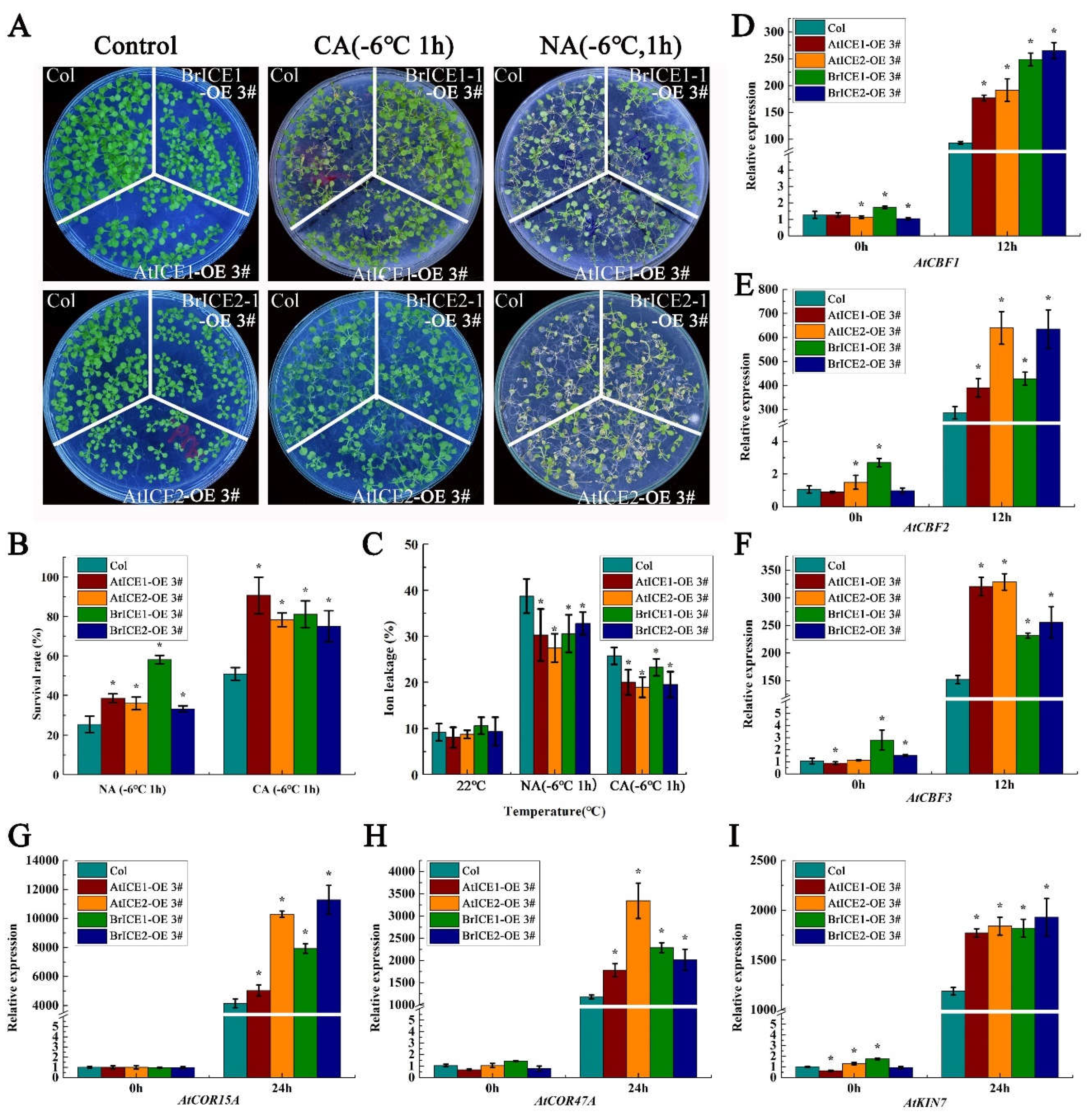 Preprints 108537 g006