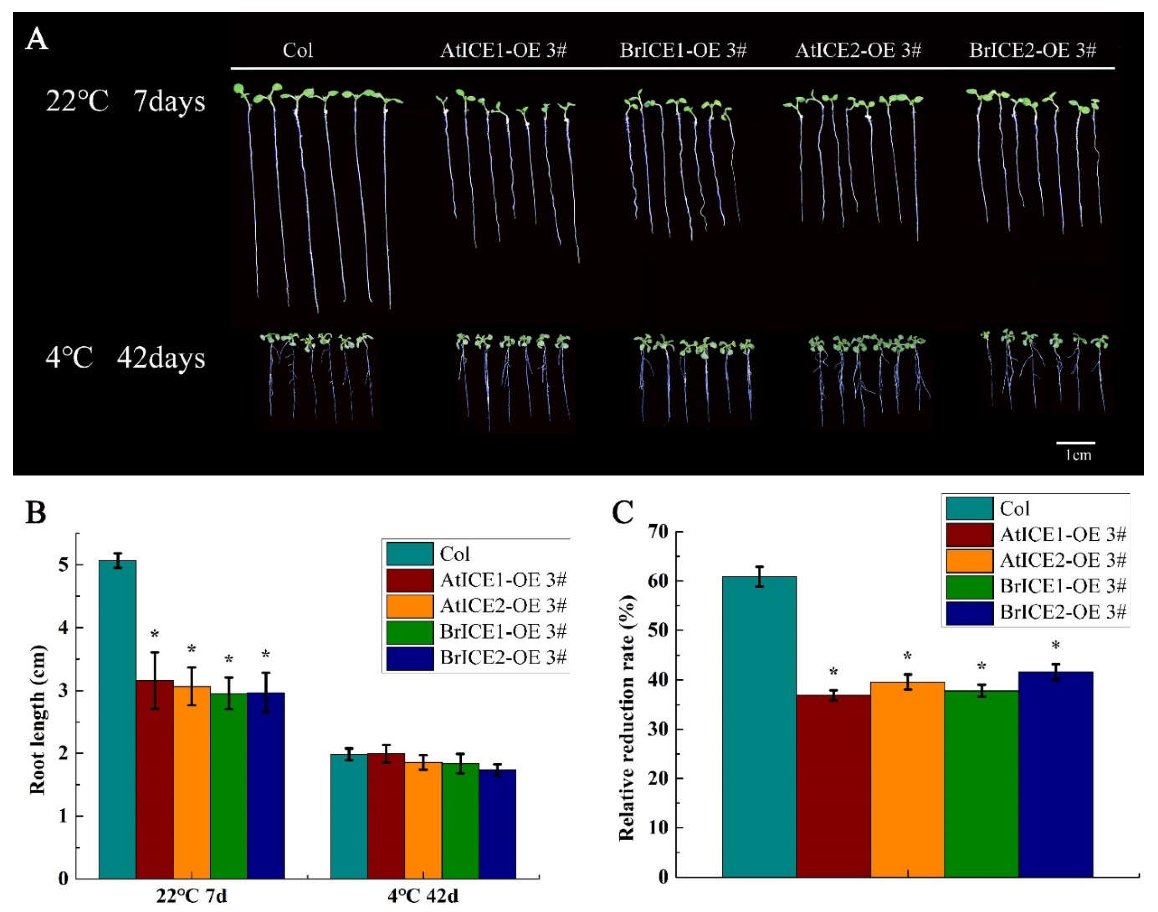 Preprints 108537 g007