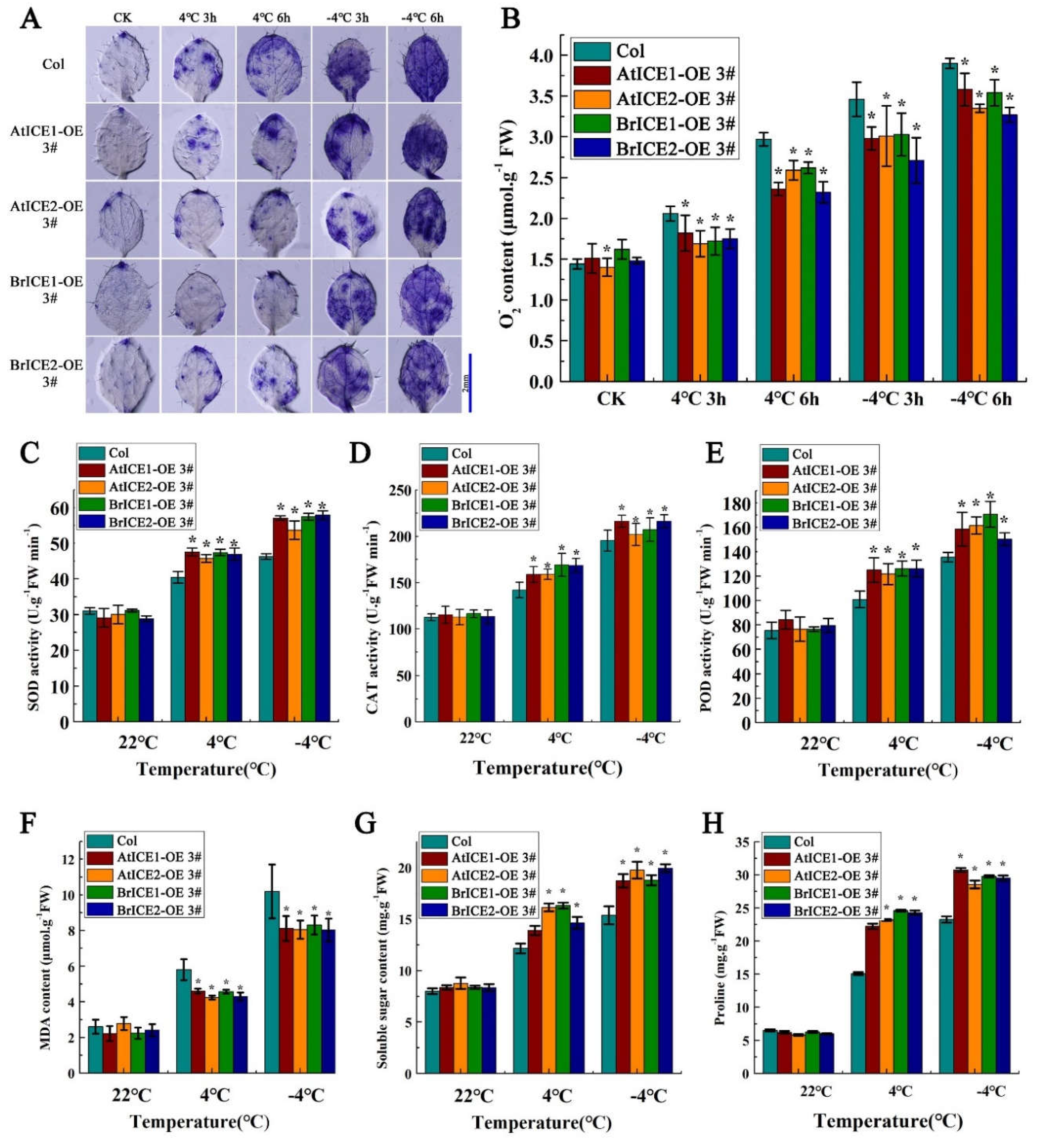 Preprints 108537 g008