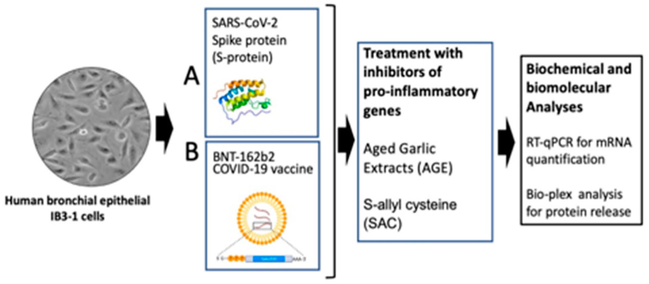 Preprints 138965 g001