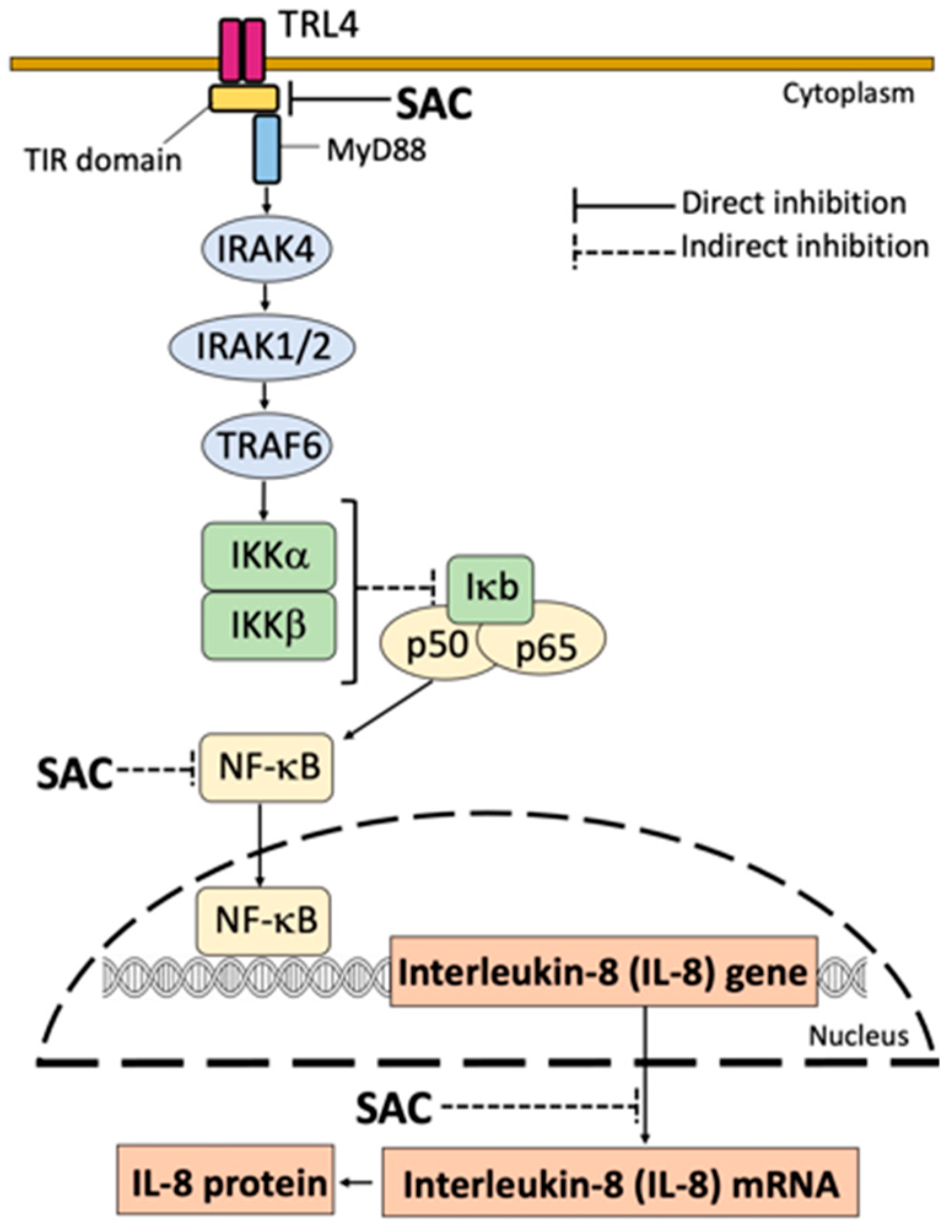 Preprints 138965 g009