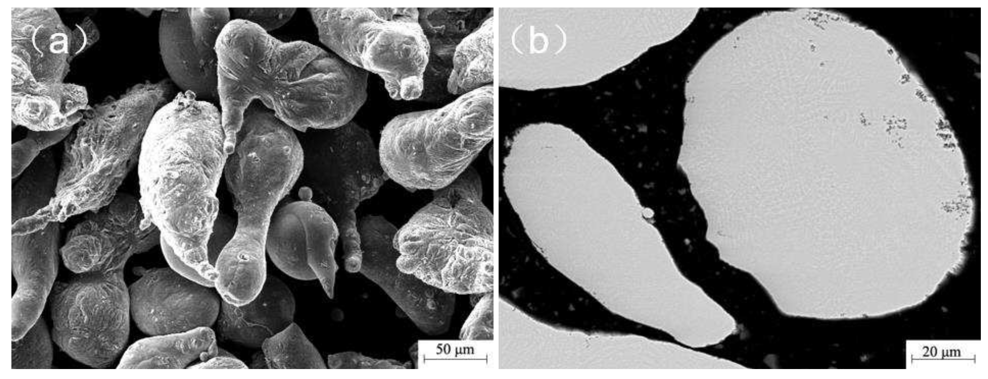 Preprints 93529 g001