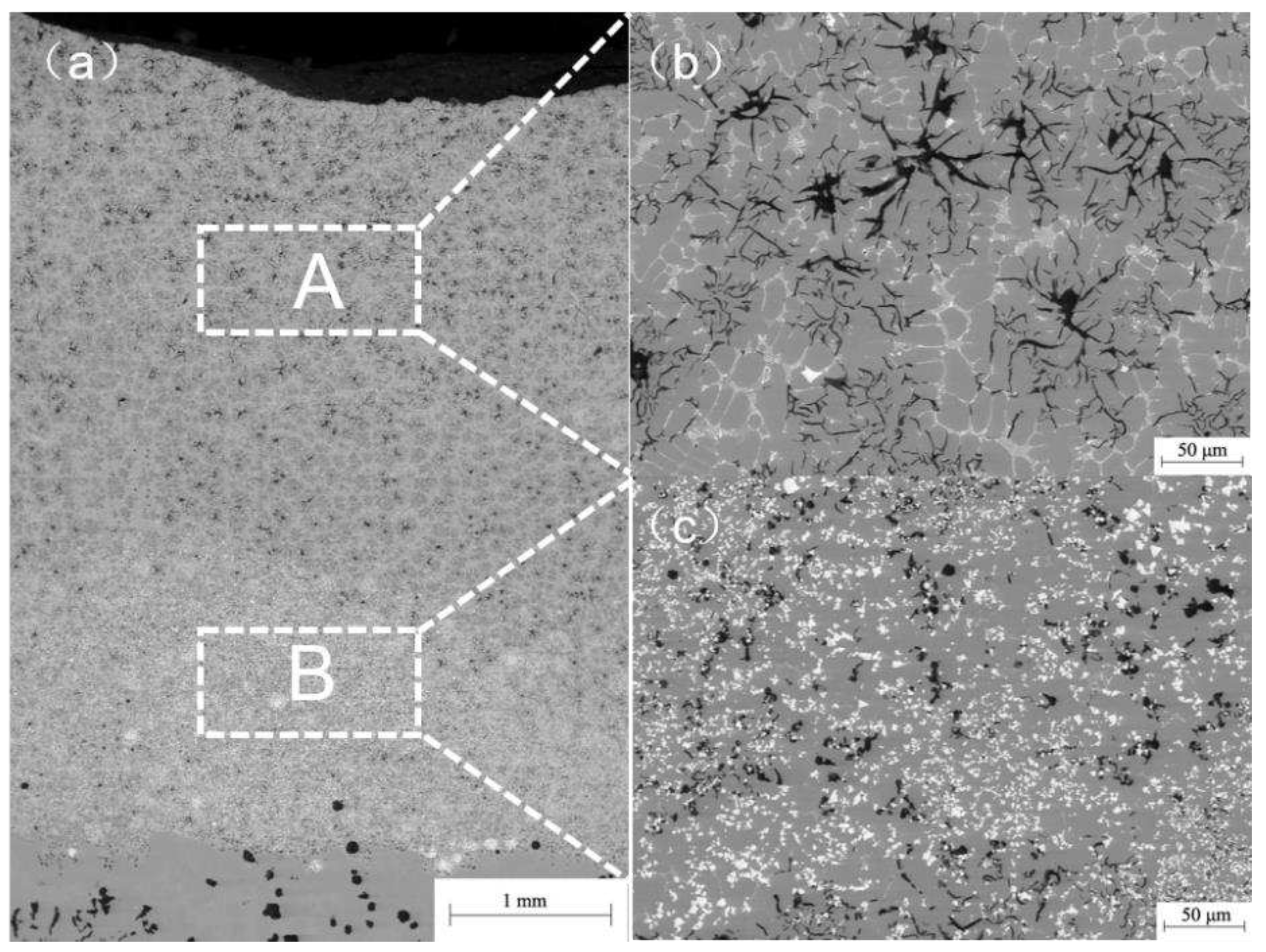 Preprints 93529 g006