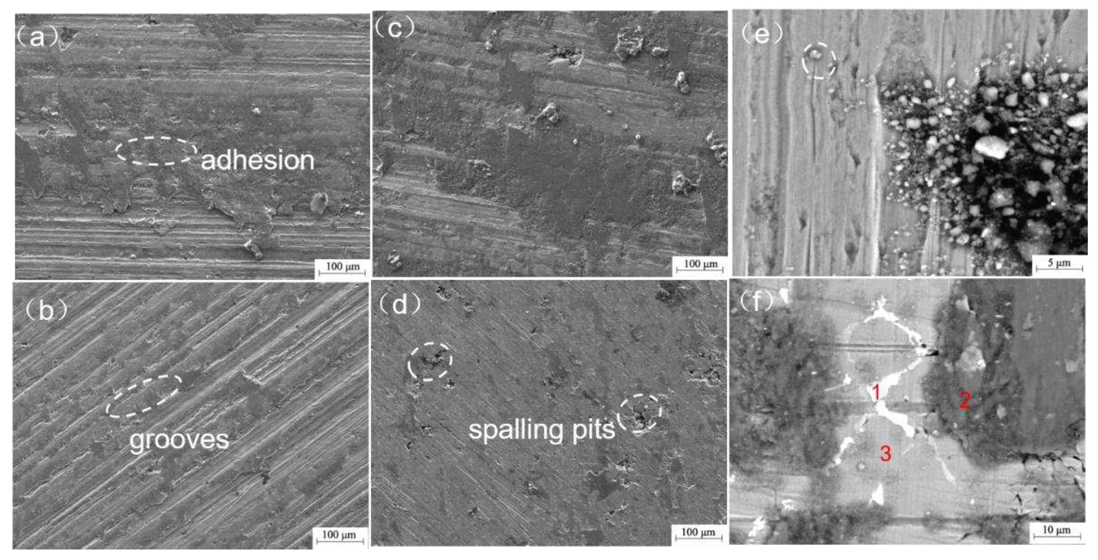 Preprints 93529 g011