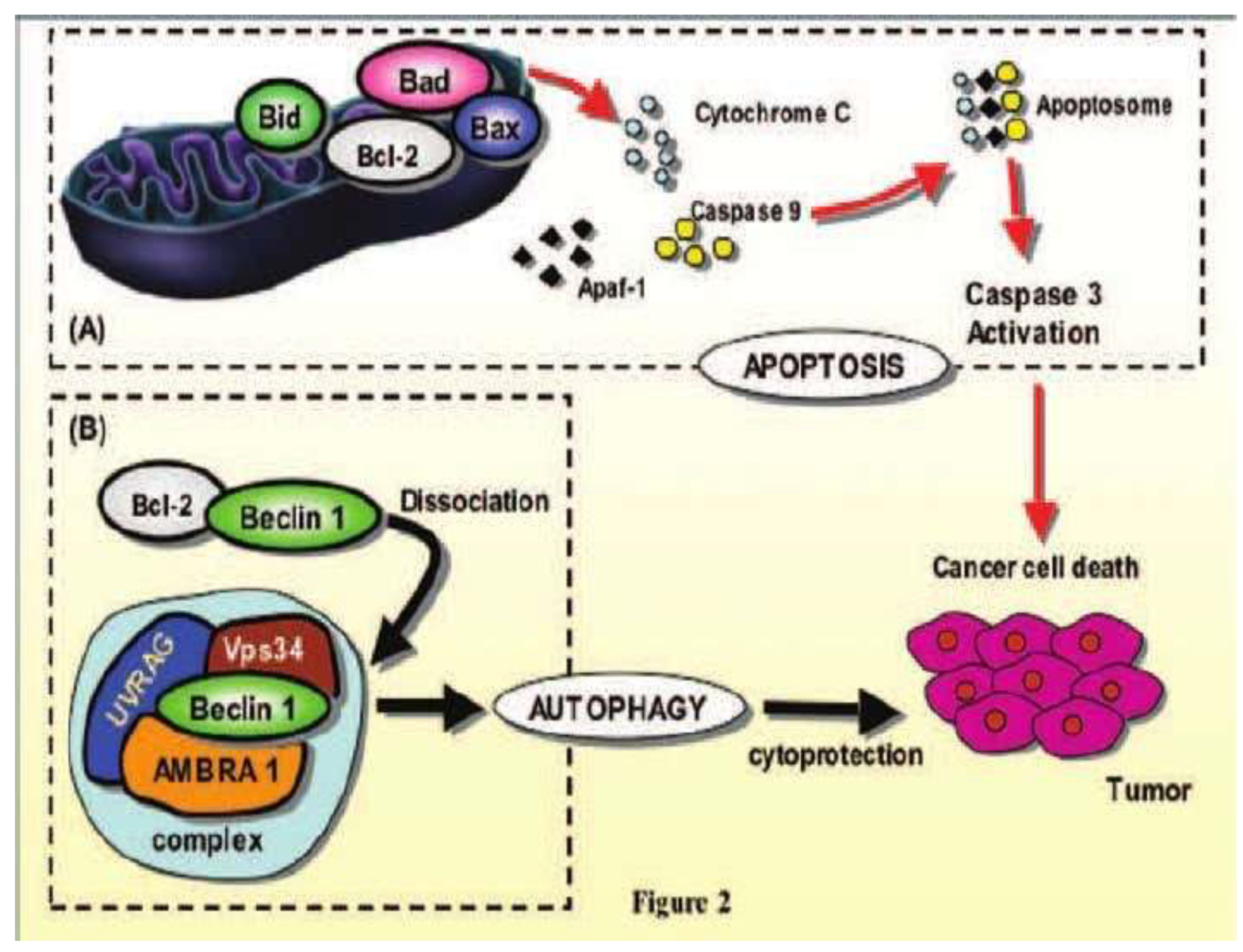 Preprints 94453 sch004