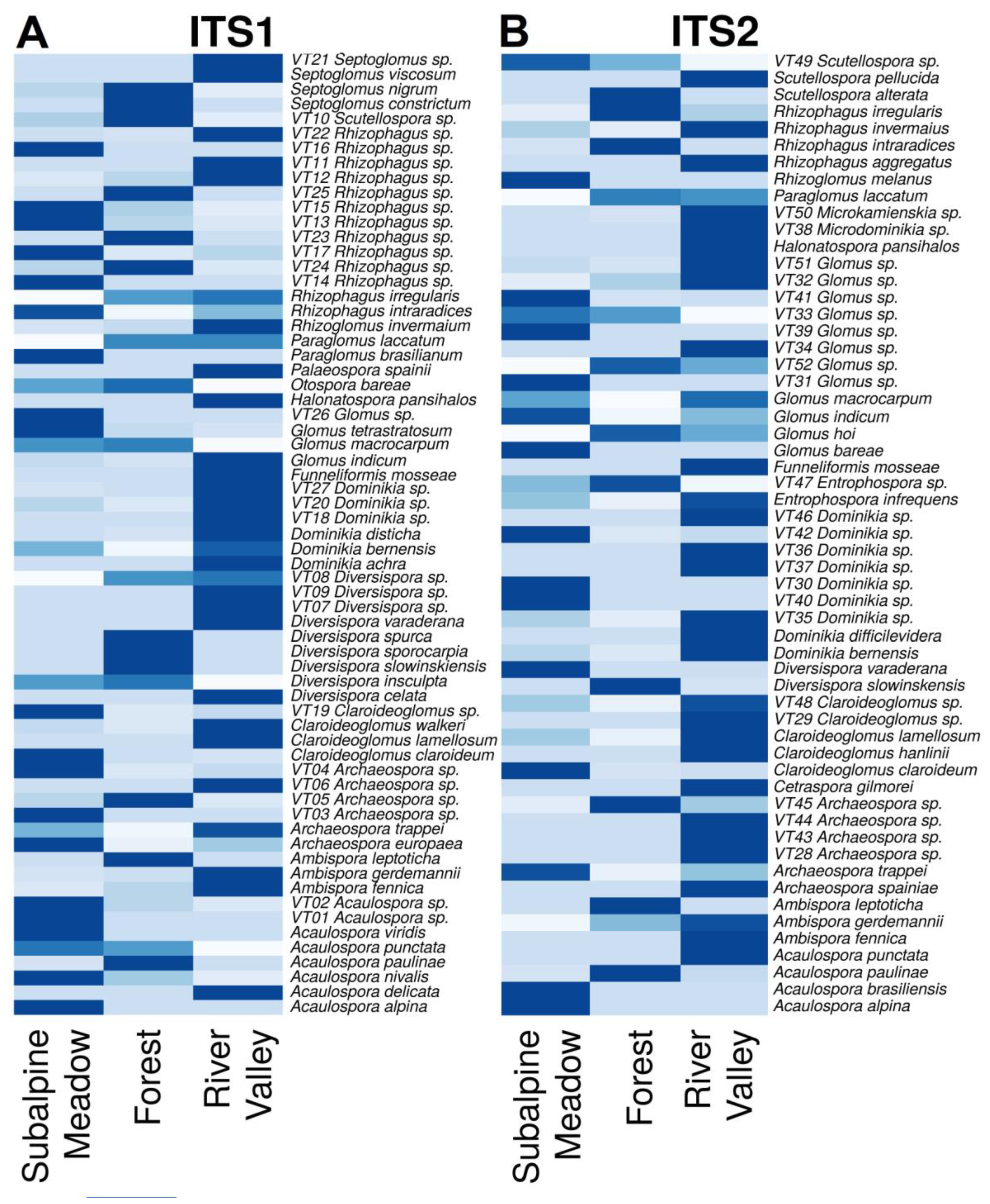 Preprints 92998 g001