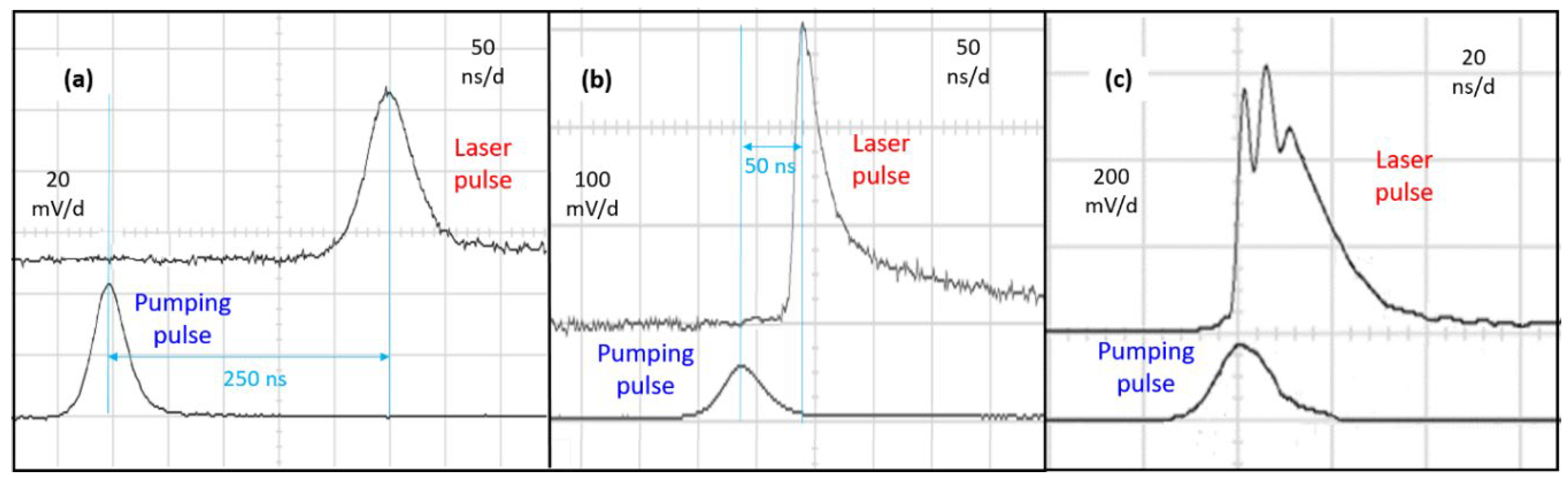 Preprints 105426 g011