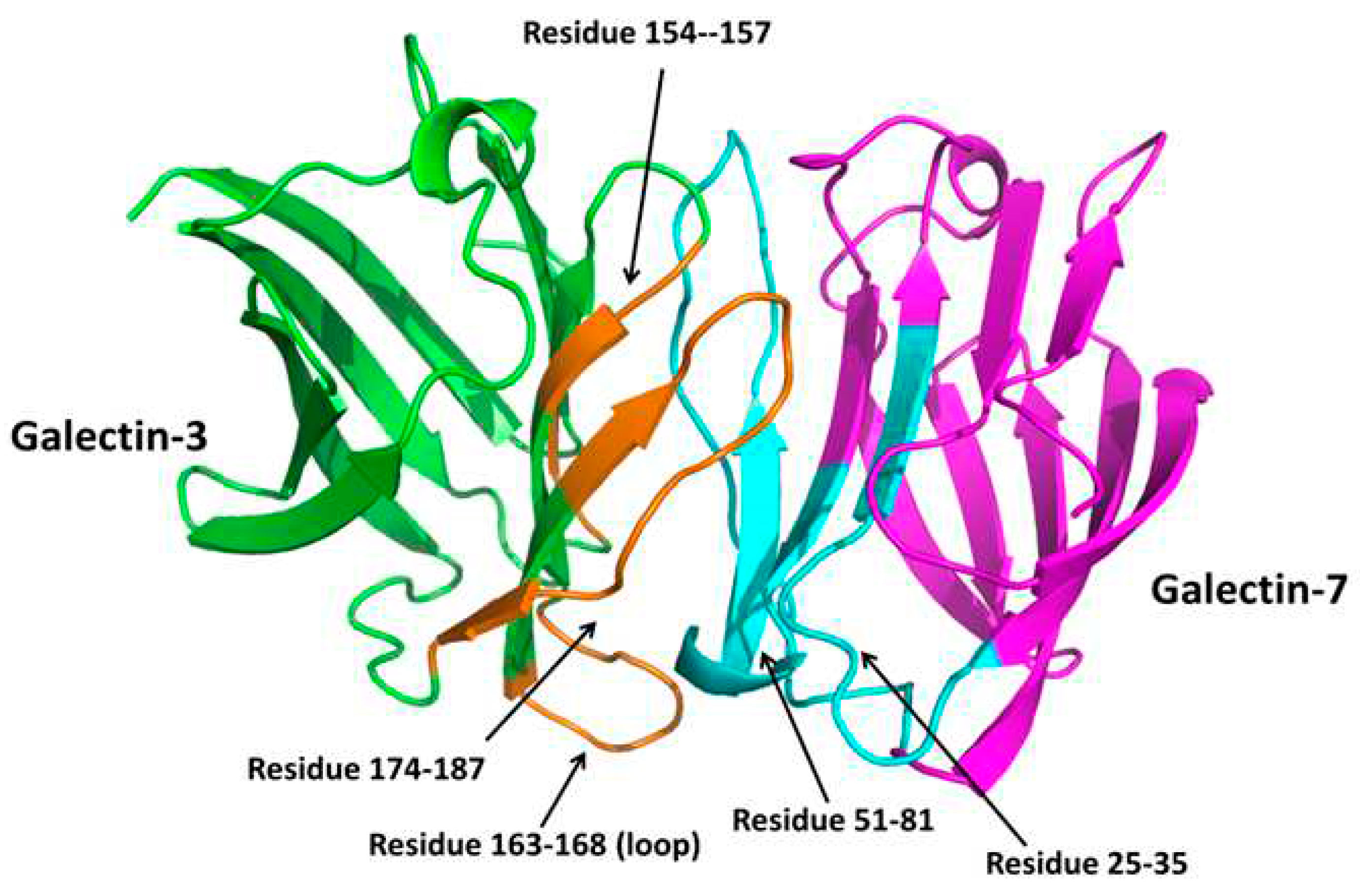 Preprints 82324 g004