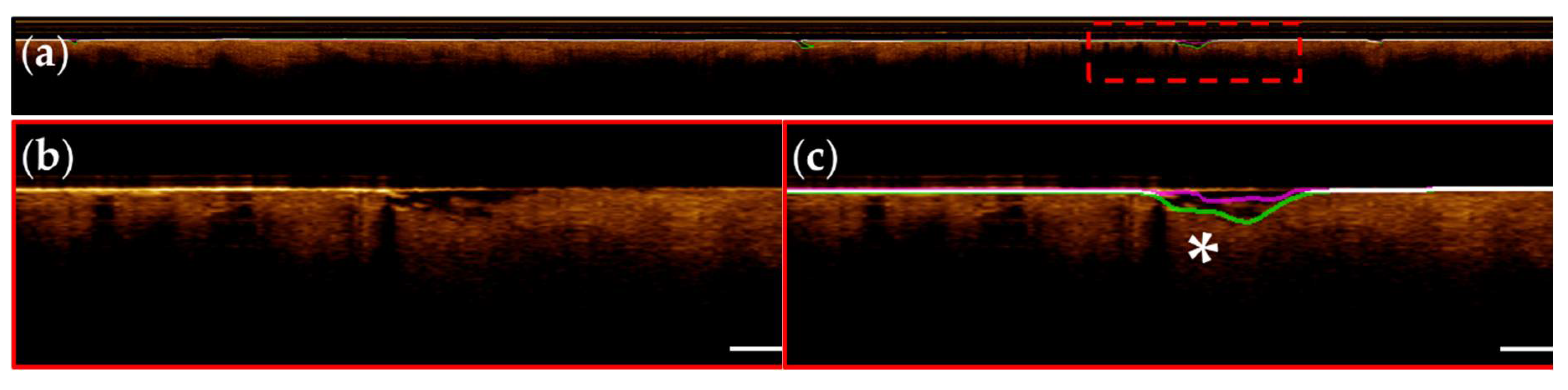 Preprints 105578 g009