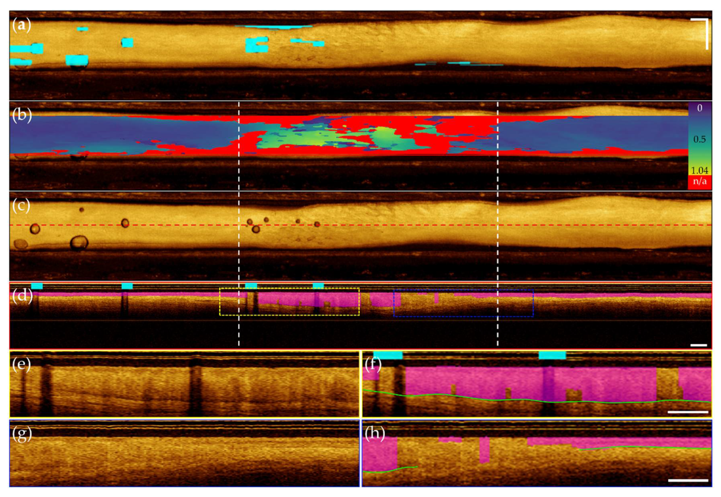 Preprints 105578 g011