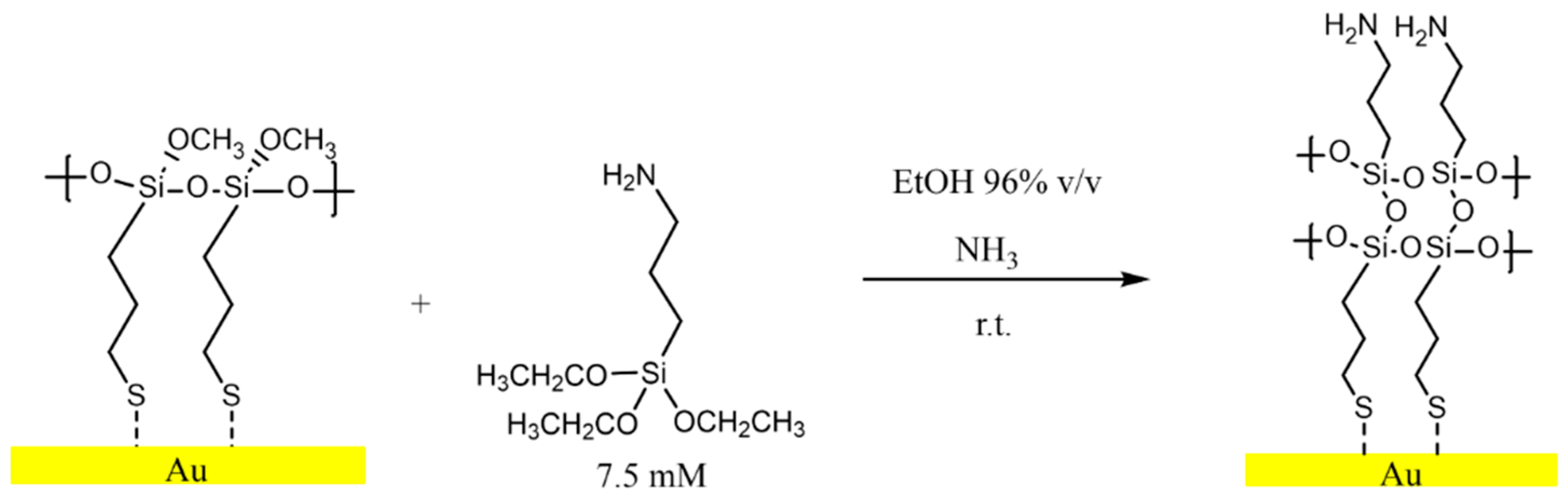 Preprints 99458 g003