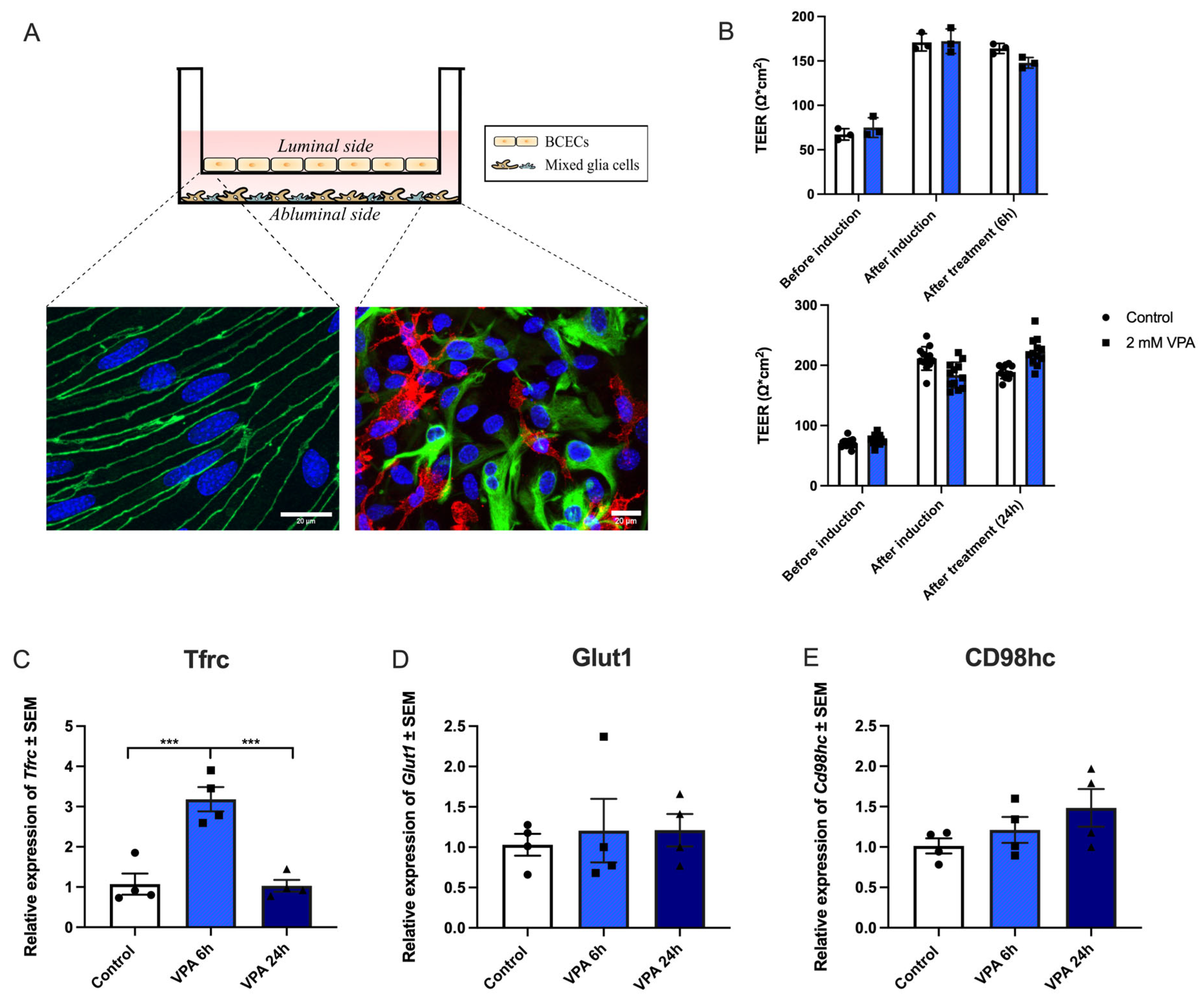 Preprints 105083 g002