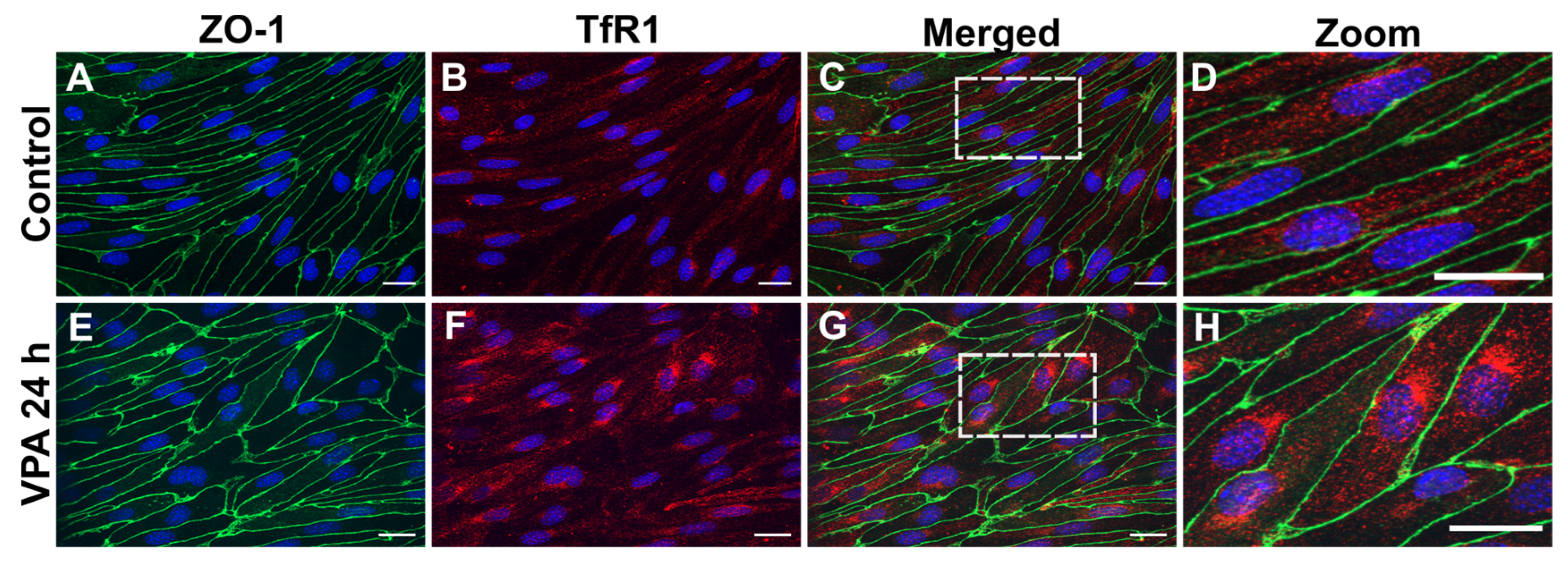 Preprints 105083 g003