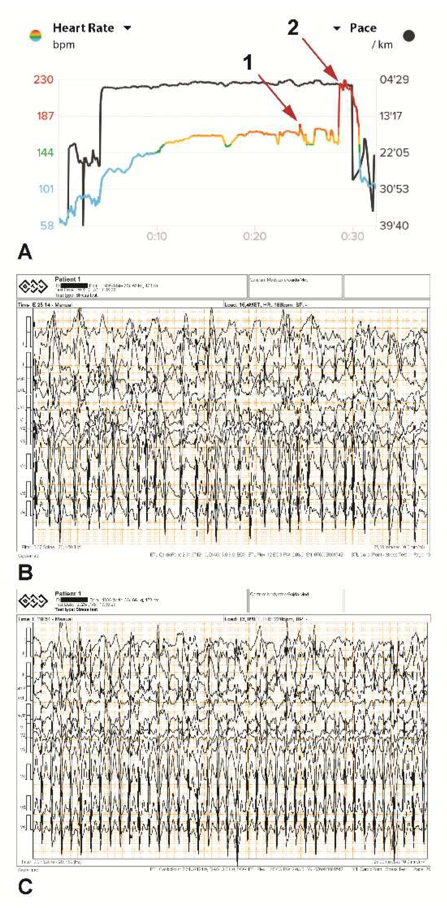 Preprints 78727 g003