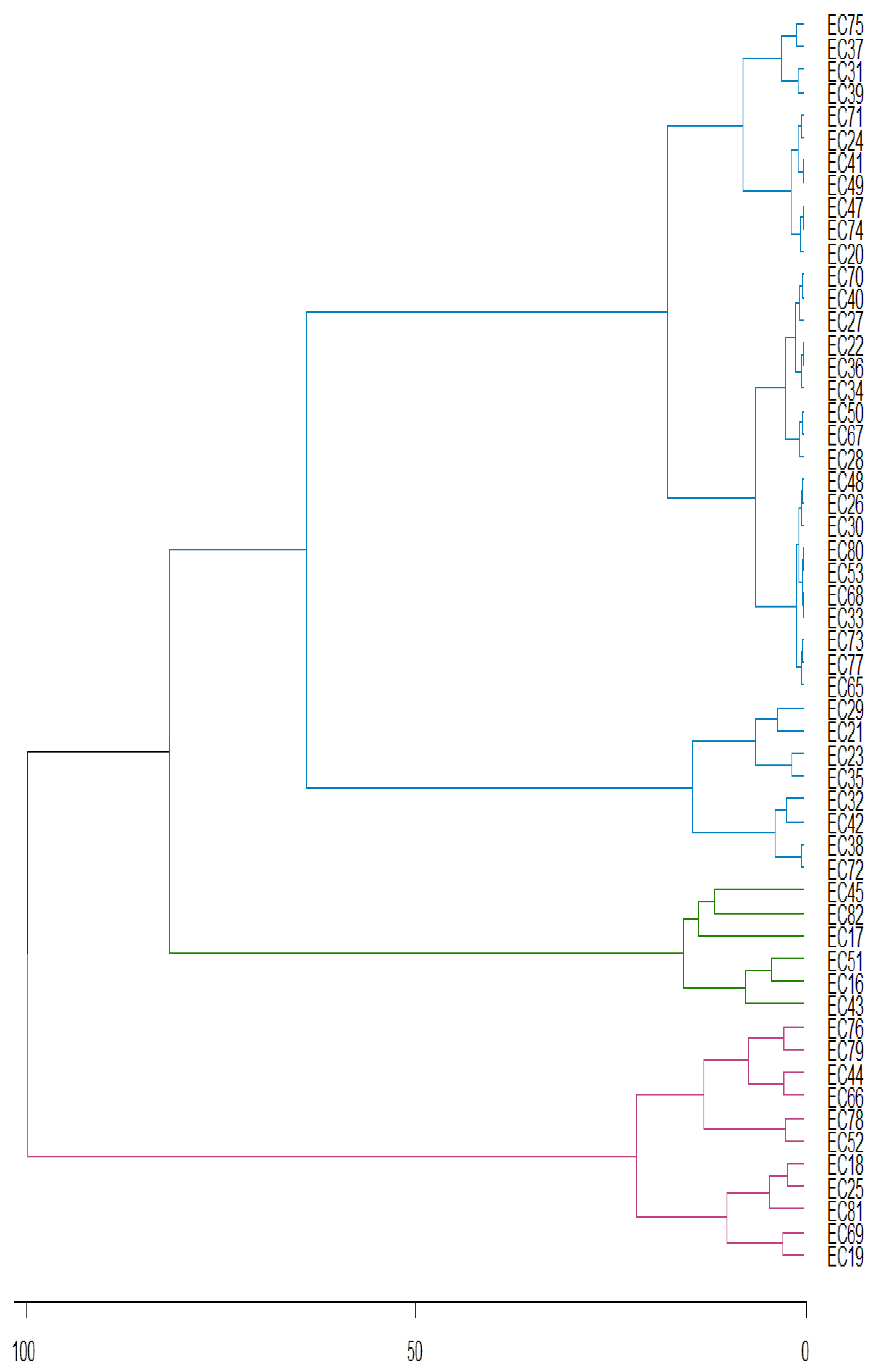 Preprints 88127 g004