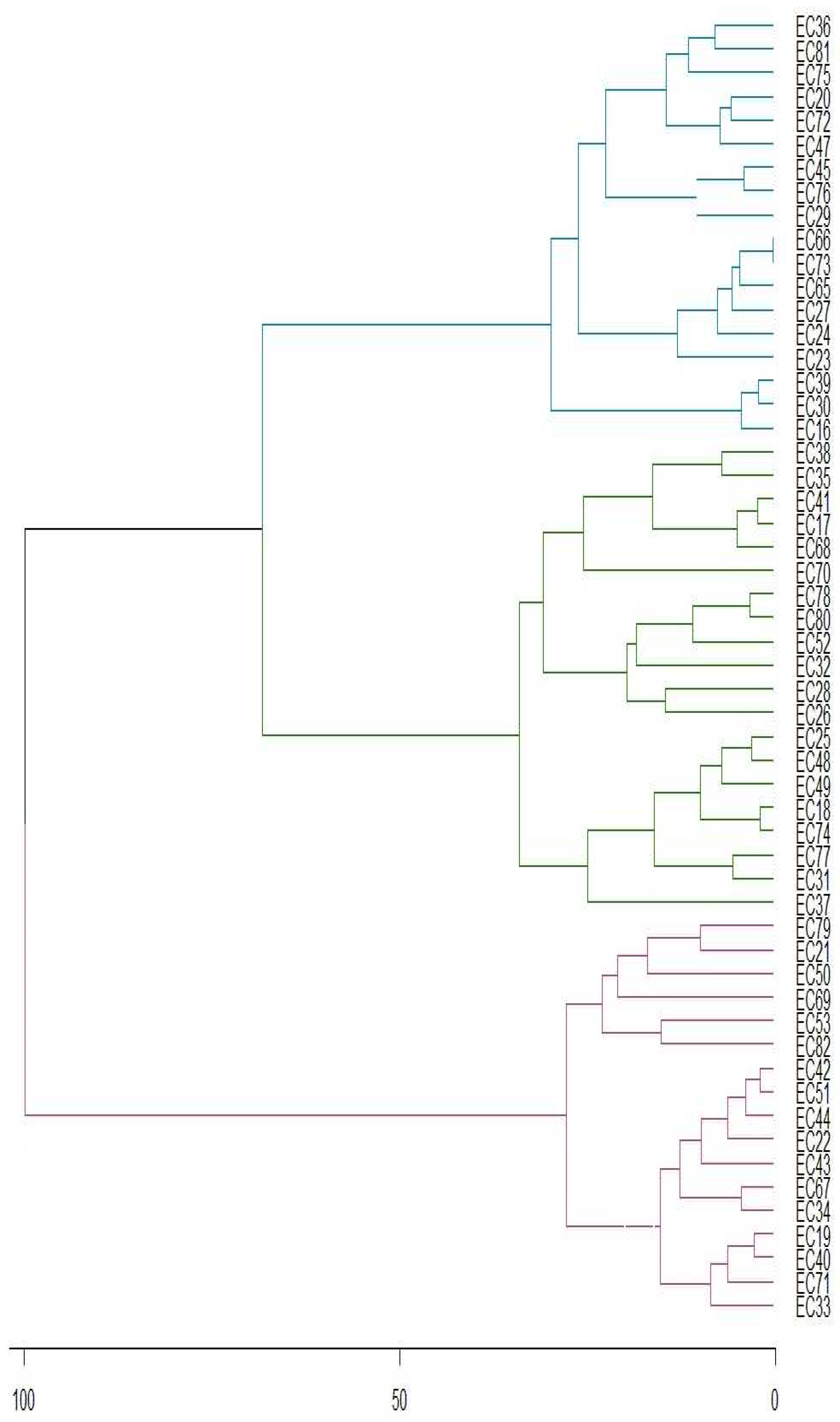 Preprints 88127 g006