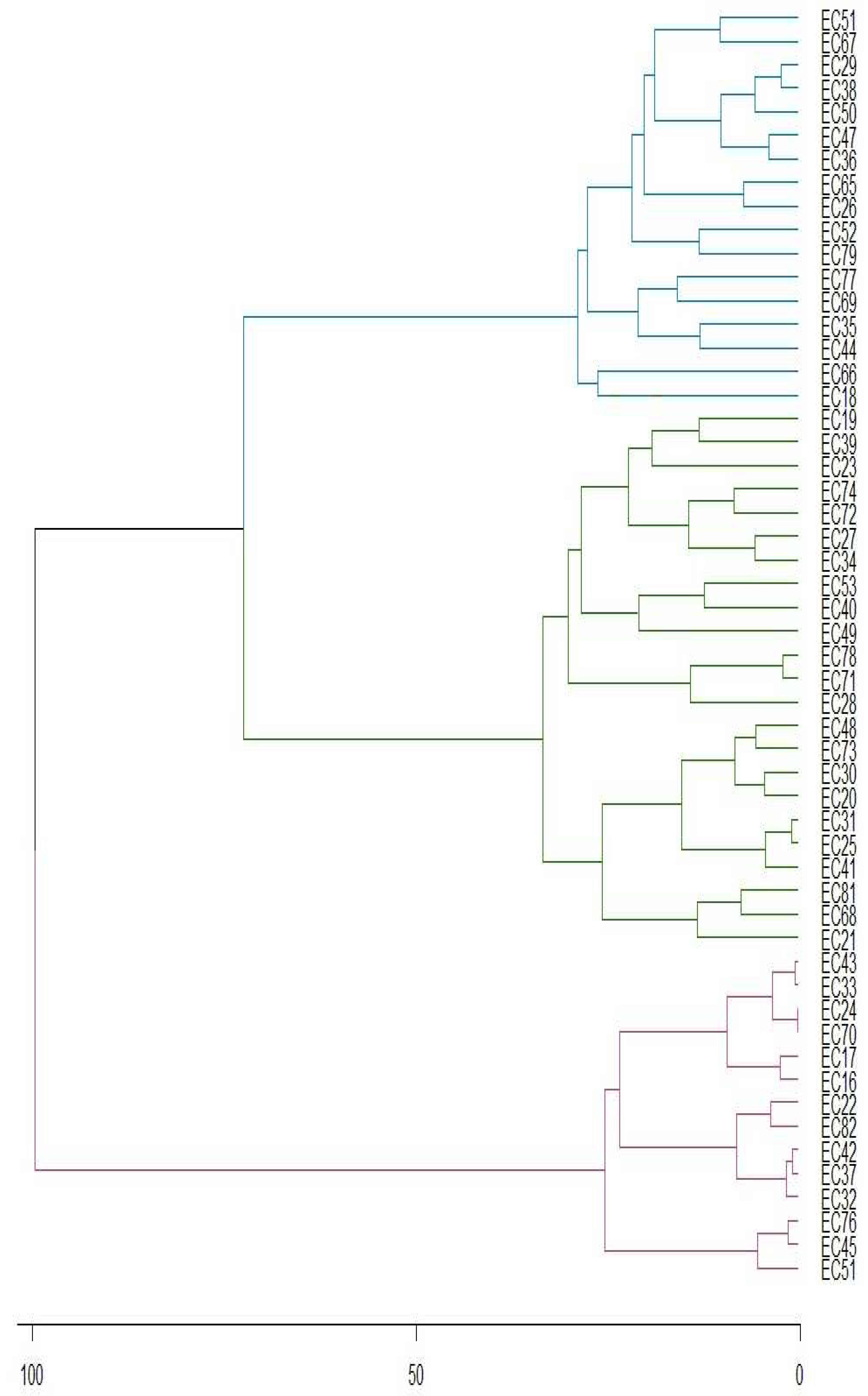 Preprints 88127 g008