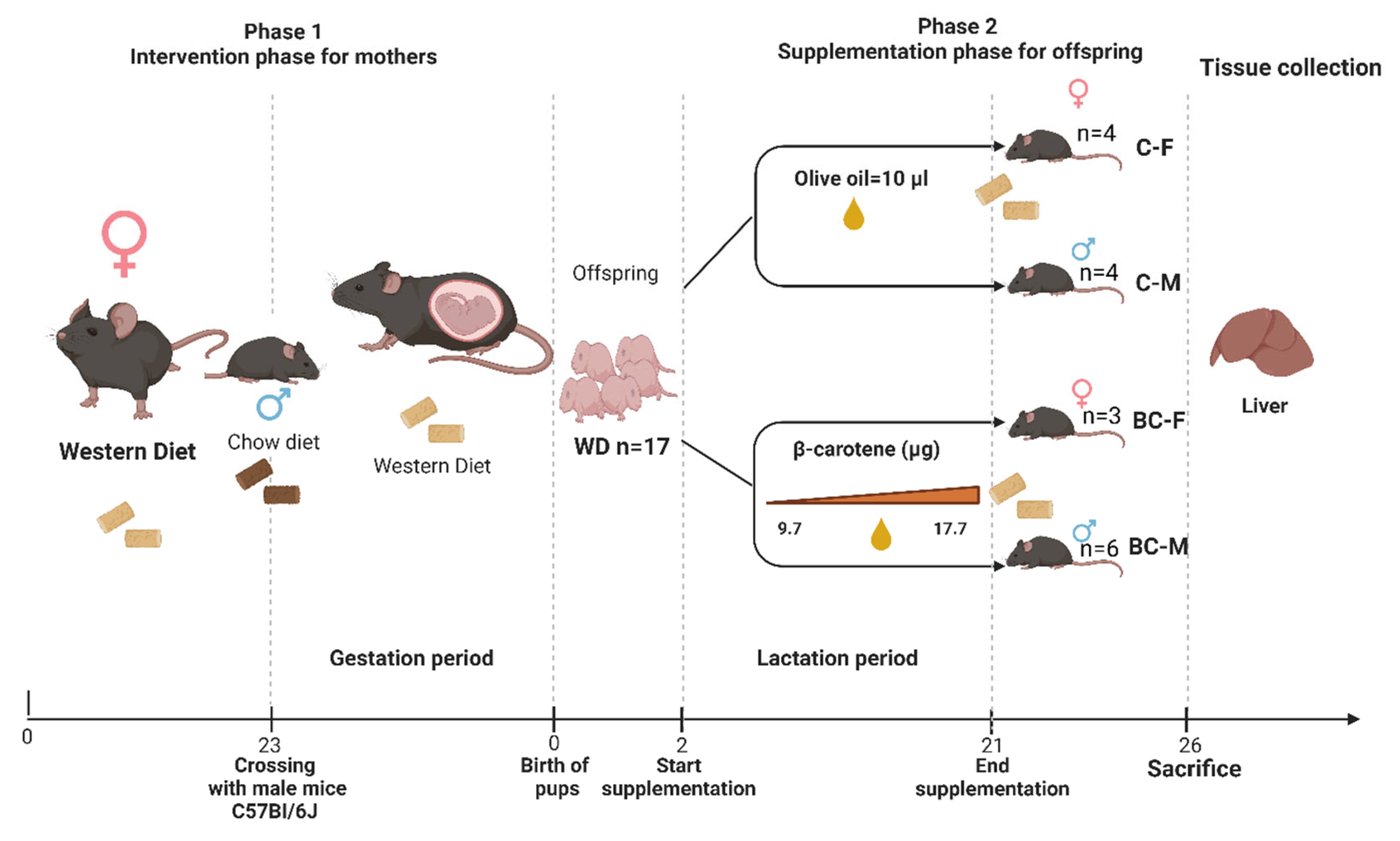 Preprints 104758 g001