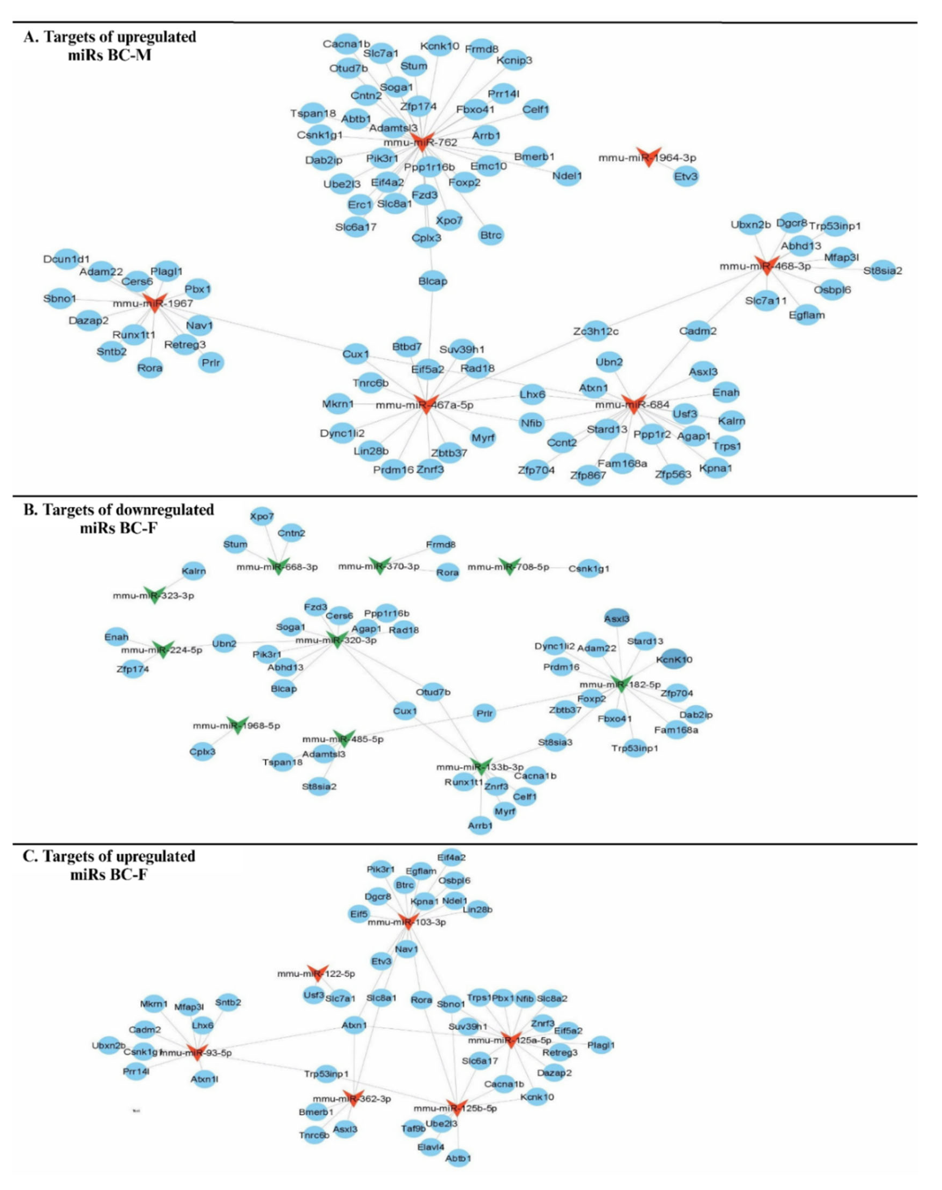 Preprints 104758 g008