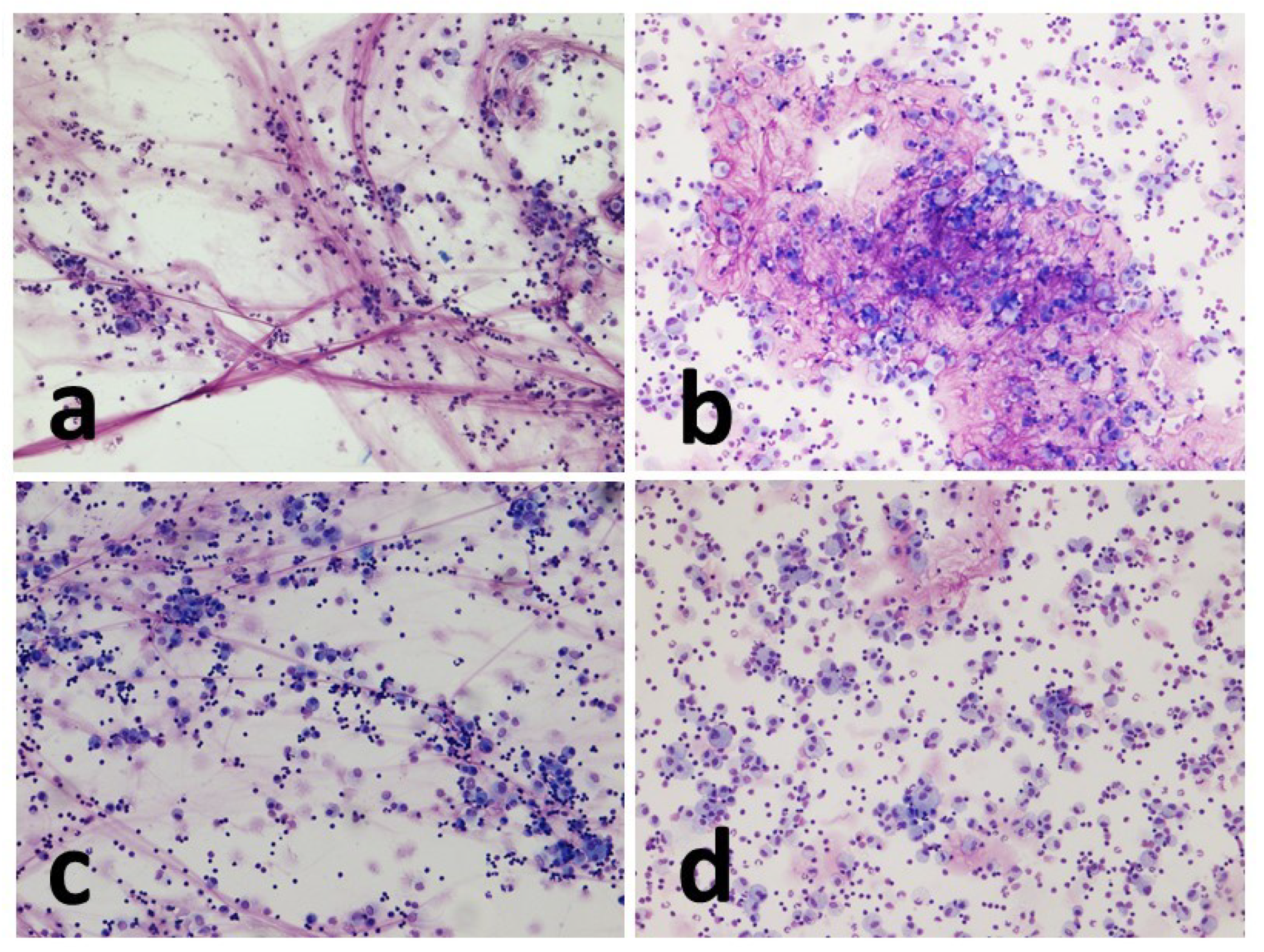 Preprints 76871 g003