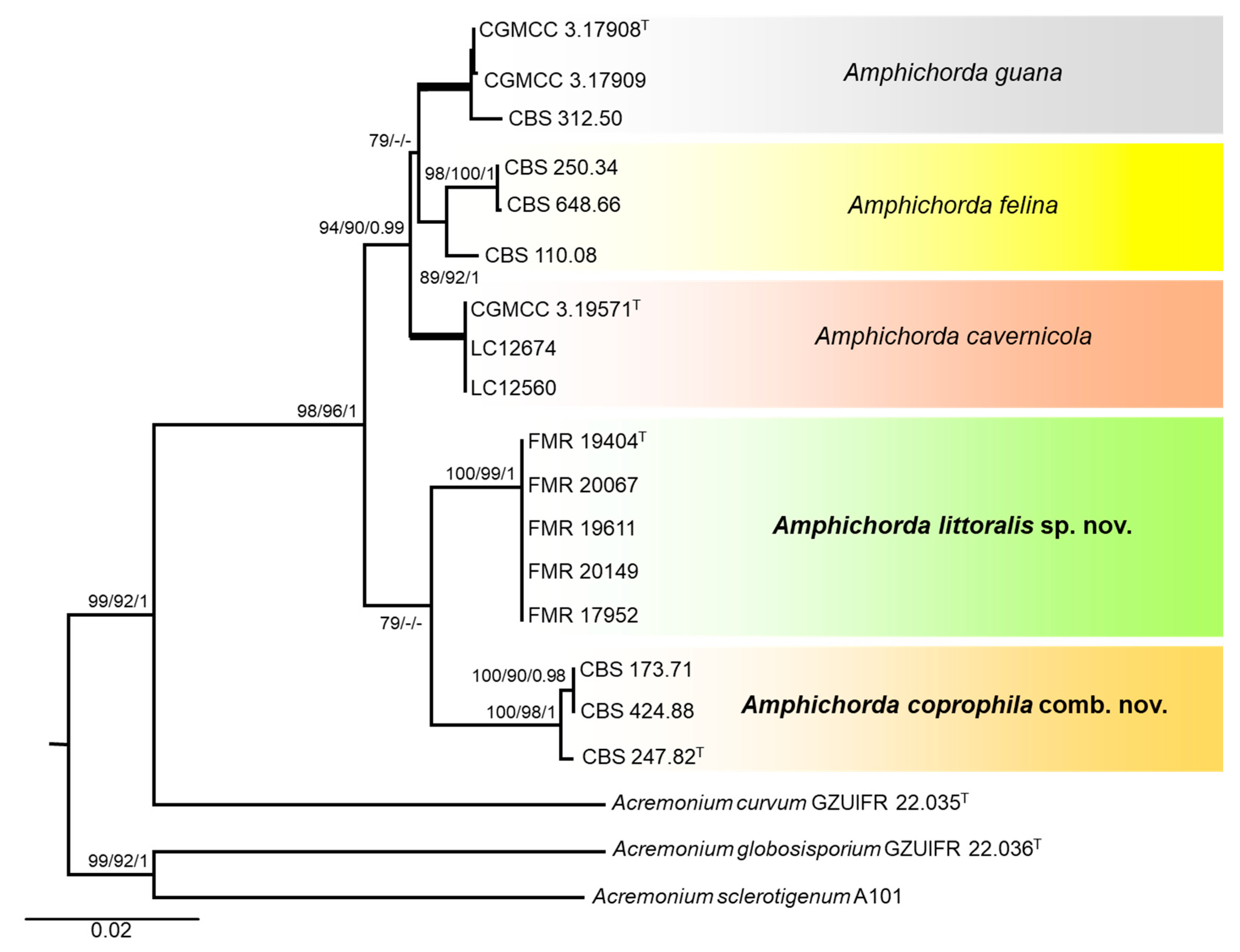 Preprints 74141 g002