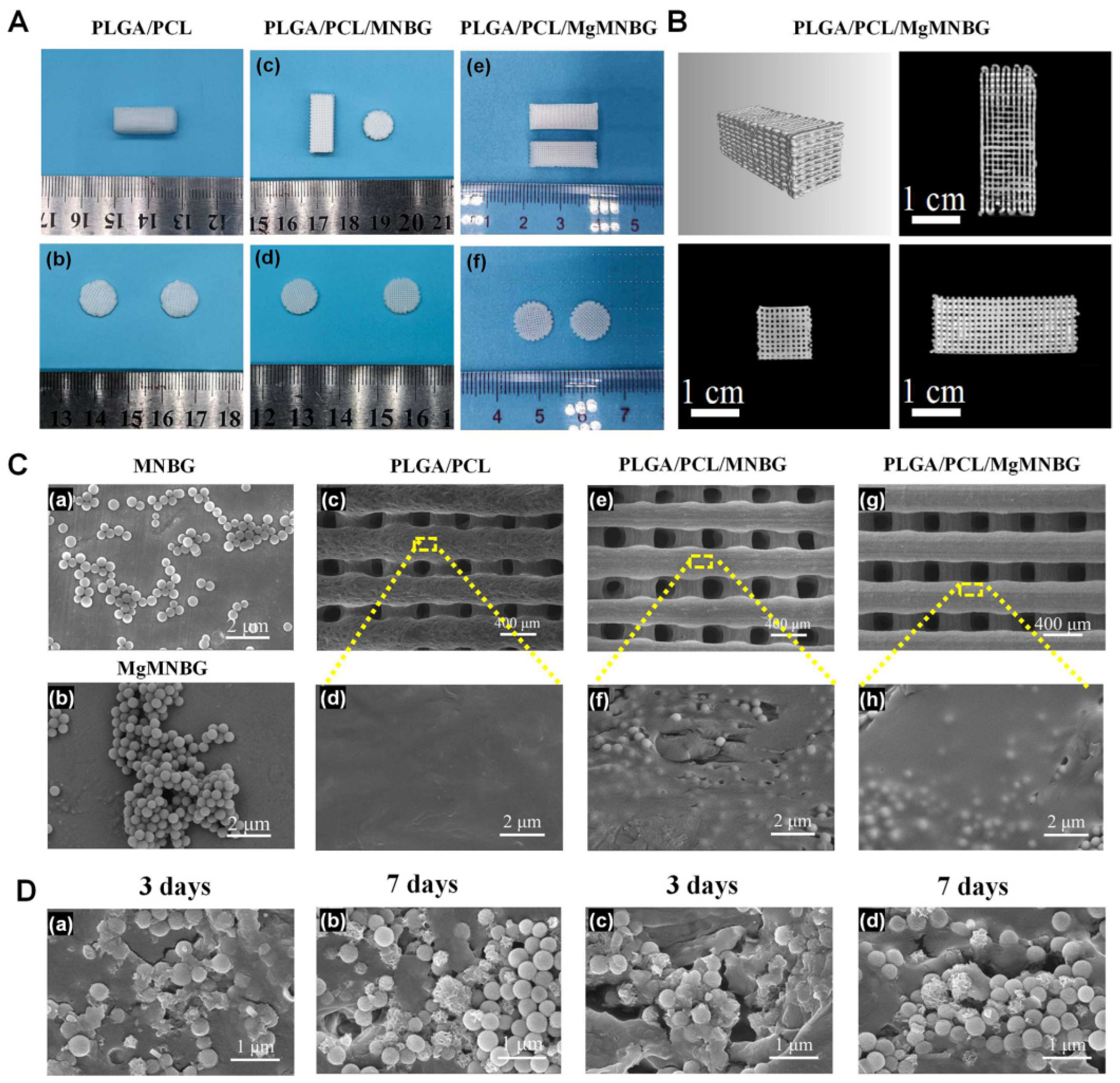 Preprints 74792 g003