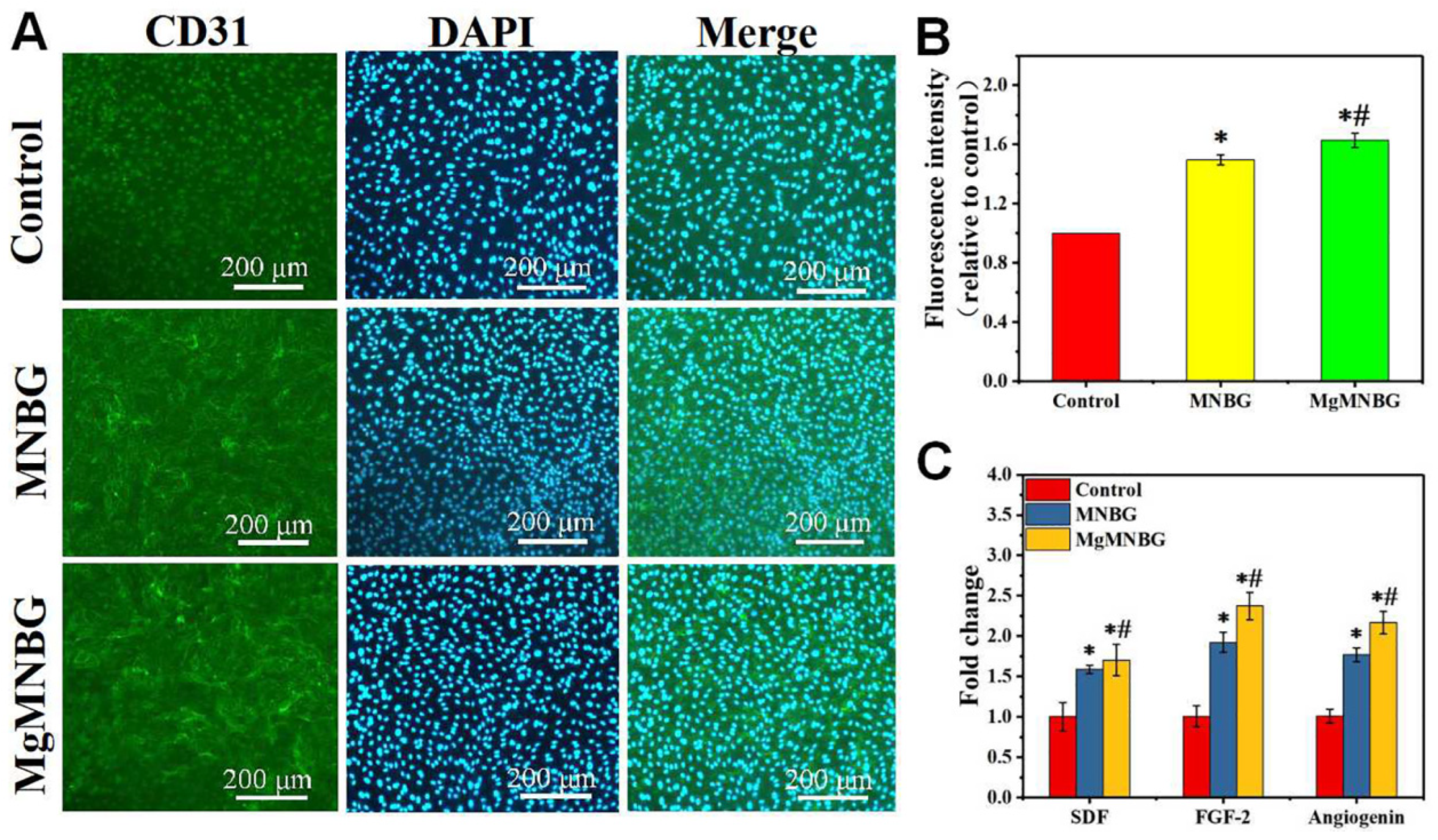 Preprints 74792 g008