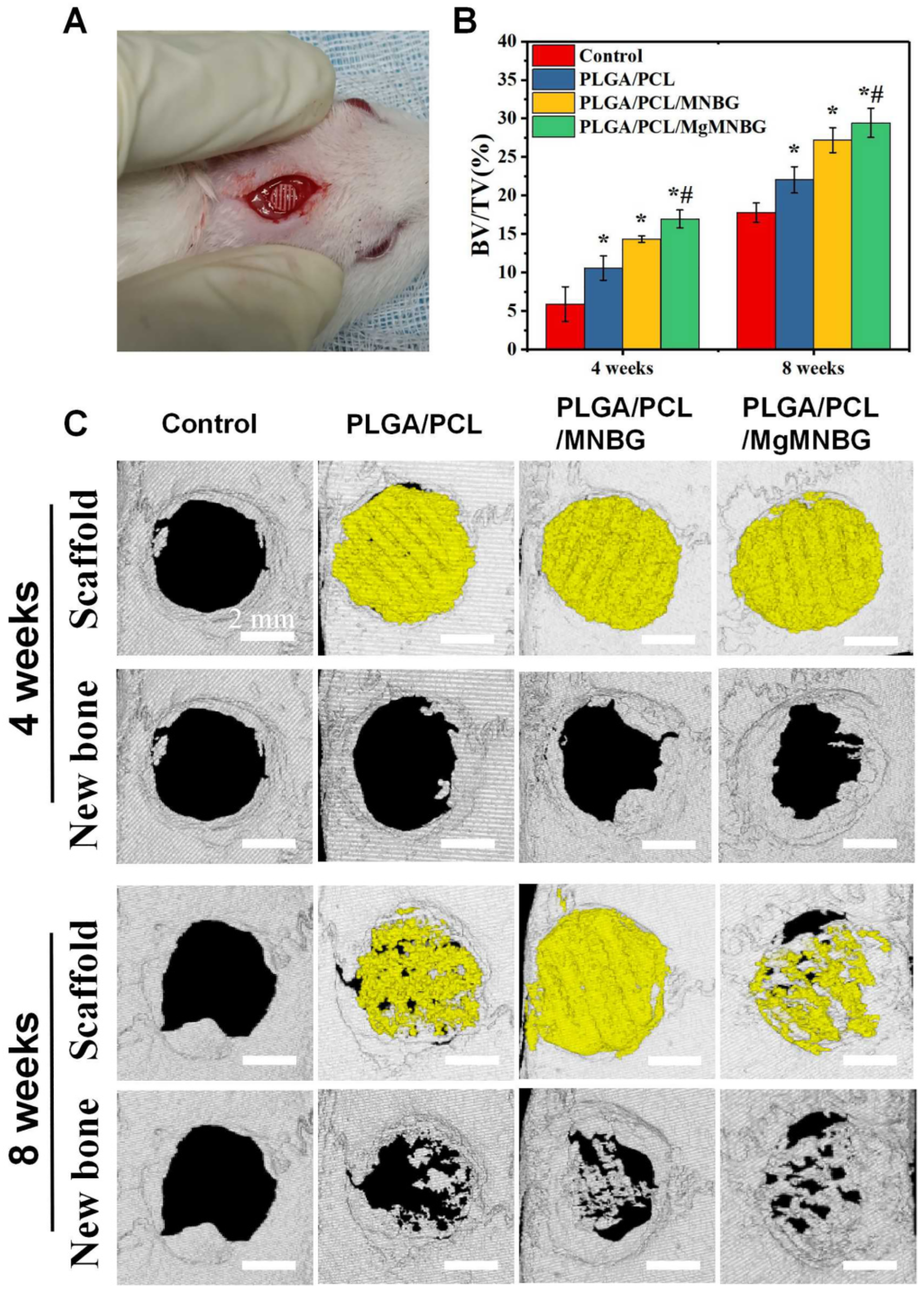 Preprints 74792 g009