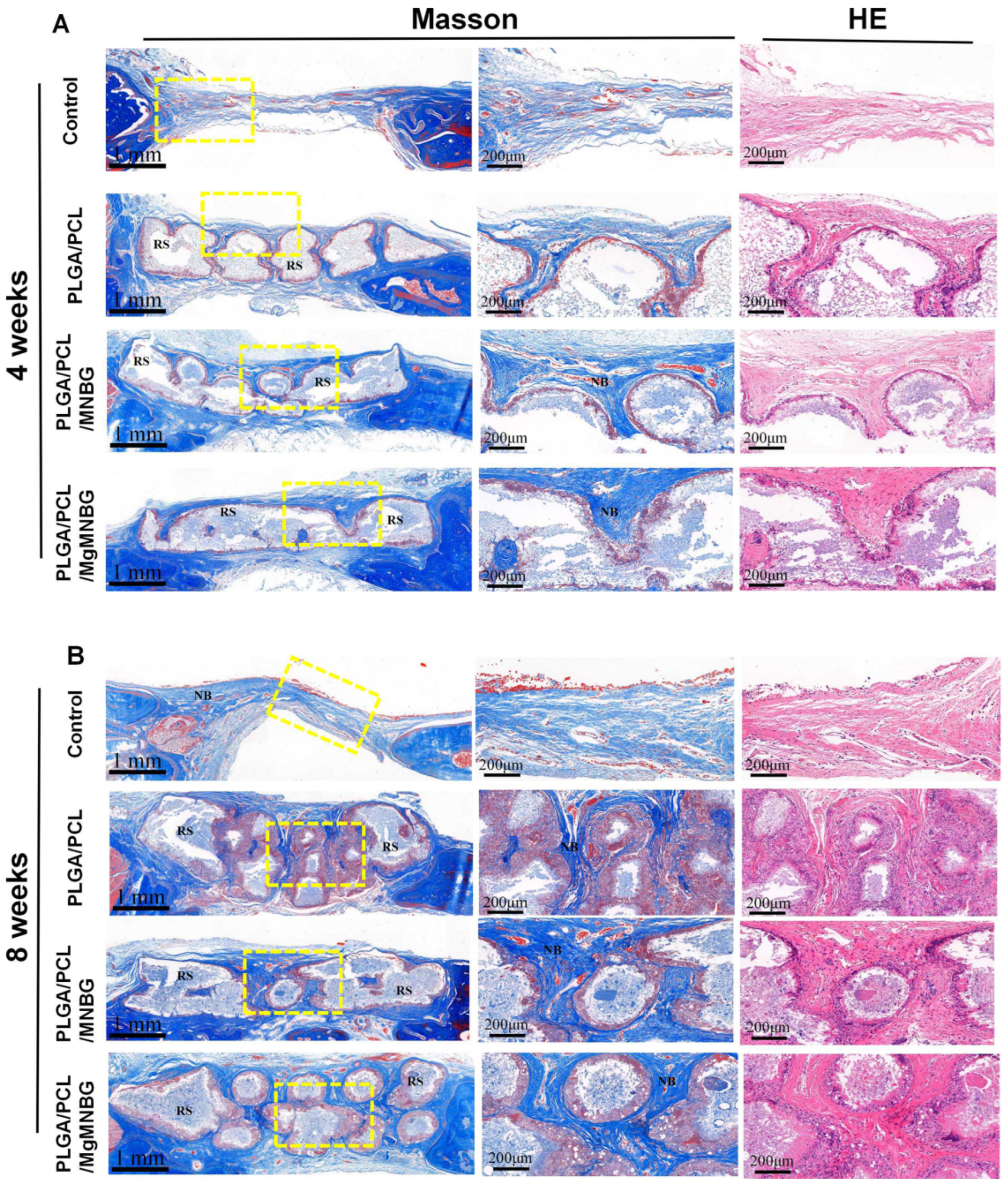 Preprints 74792 g010