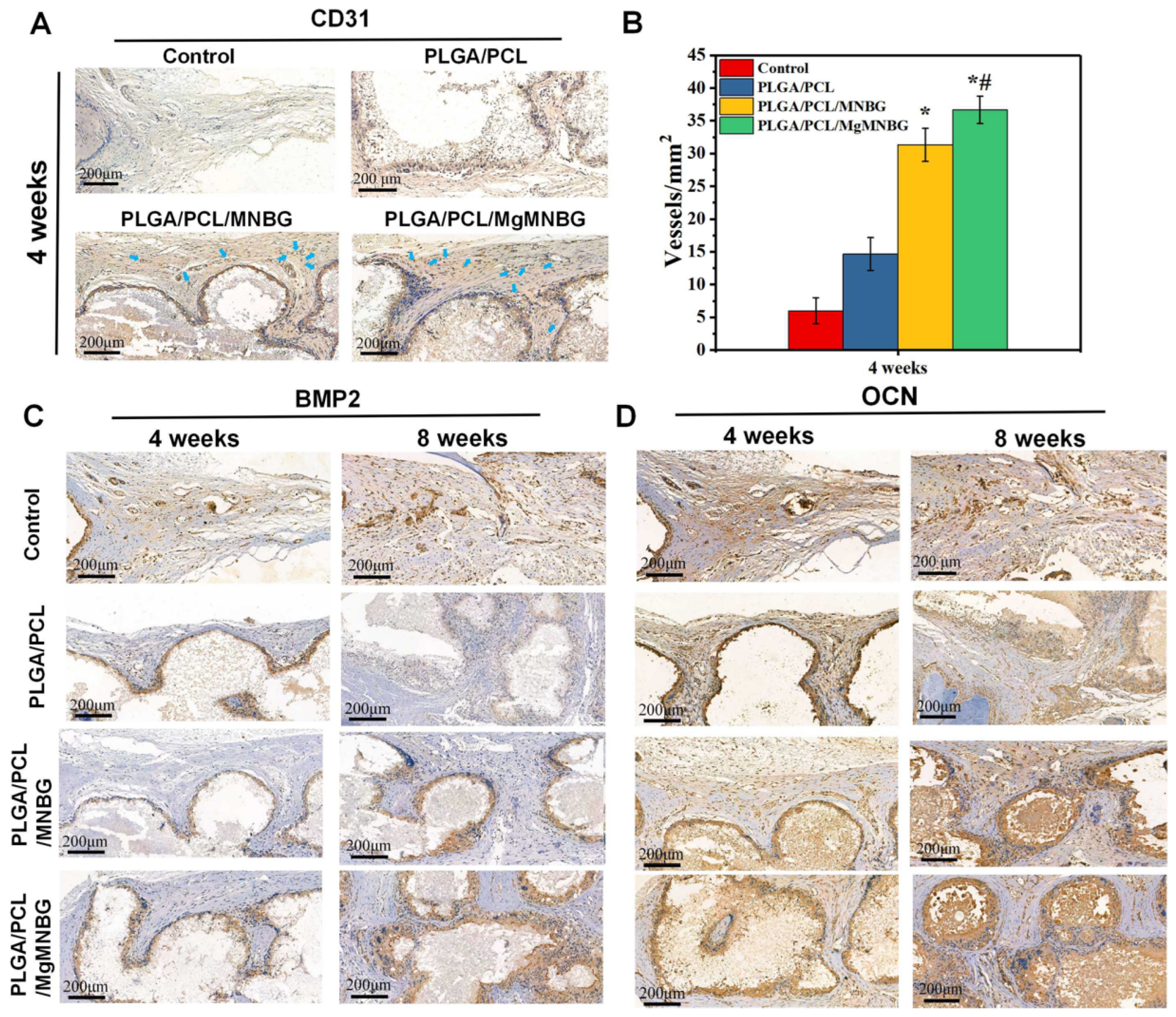 Preprints 74792 g011