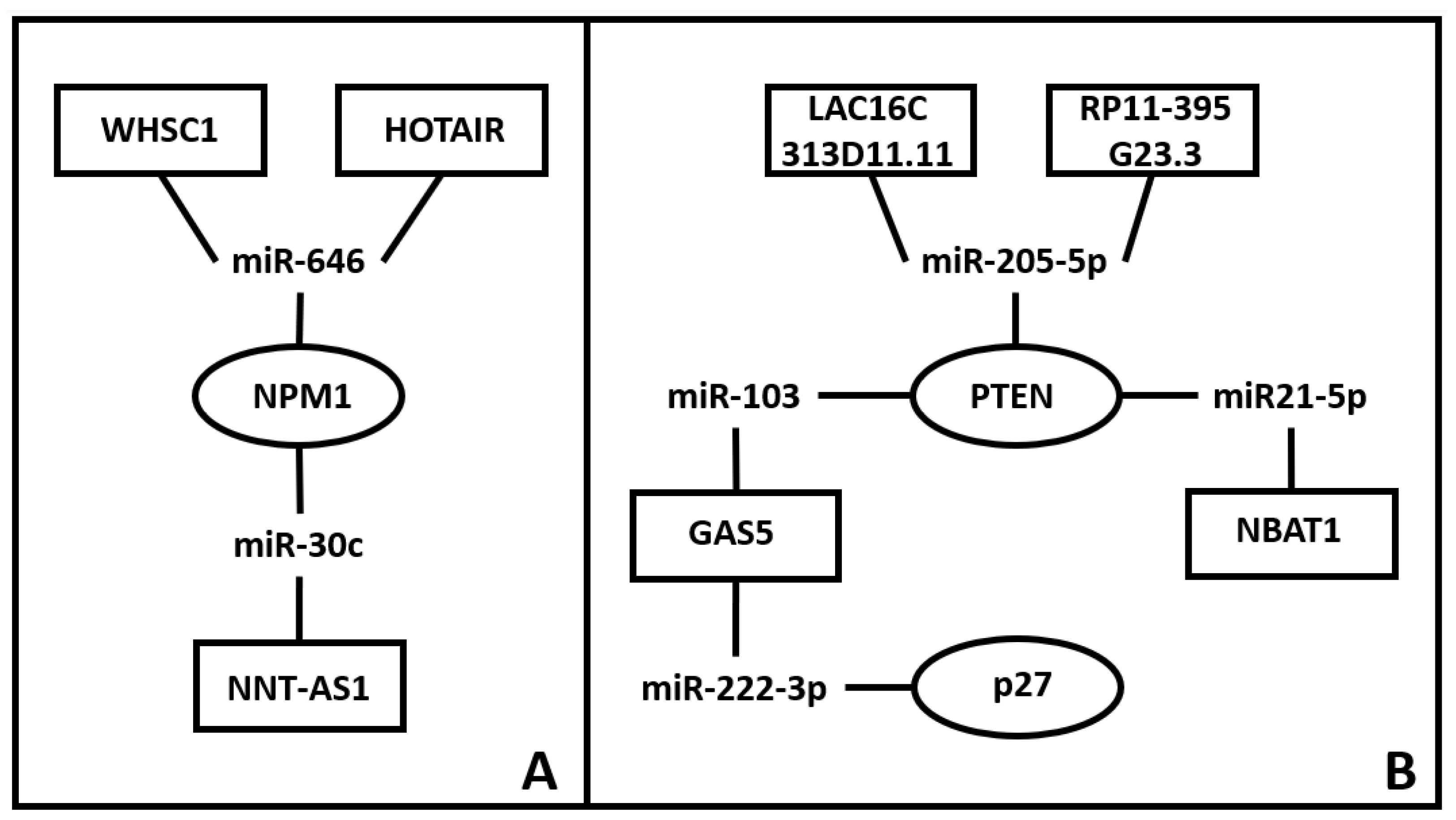 Preprints 75850 g001