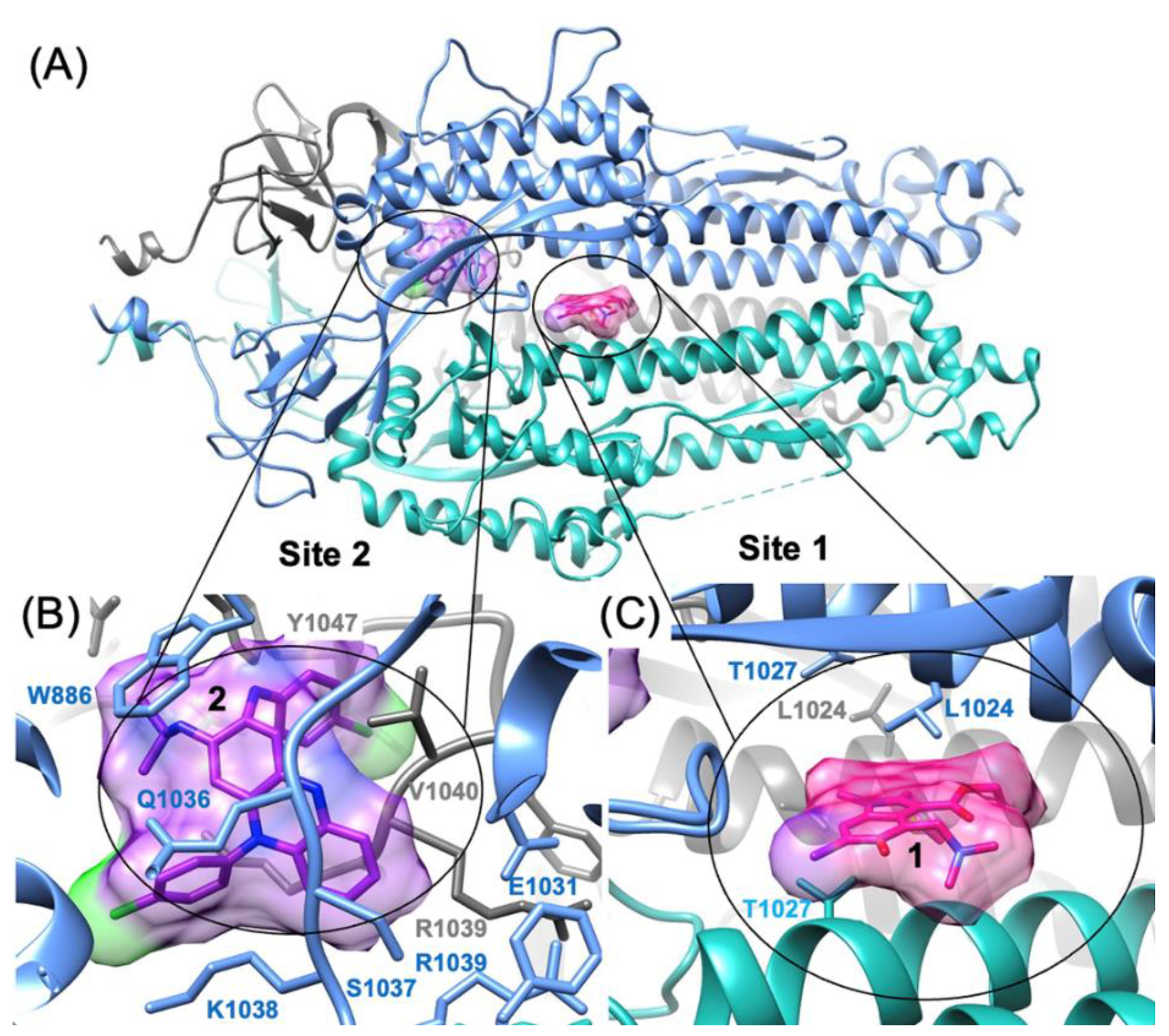 Preprints 100421 g003