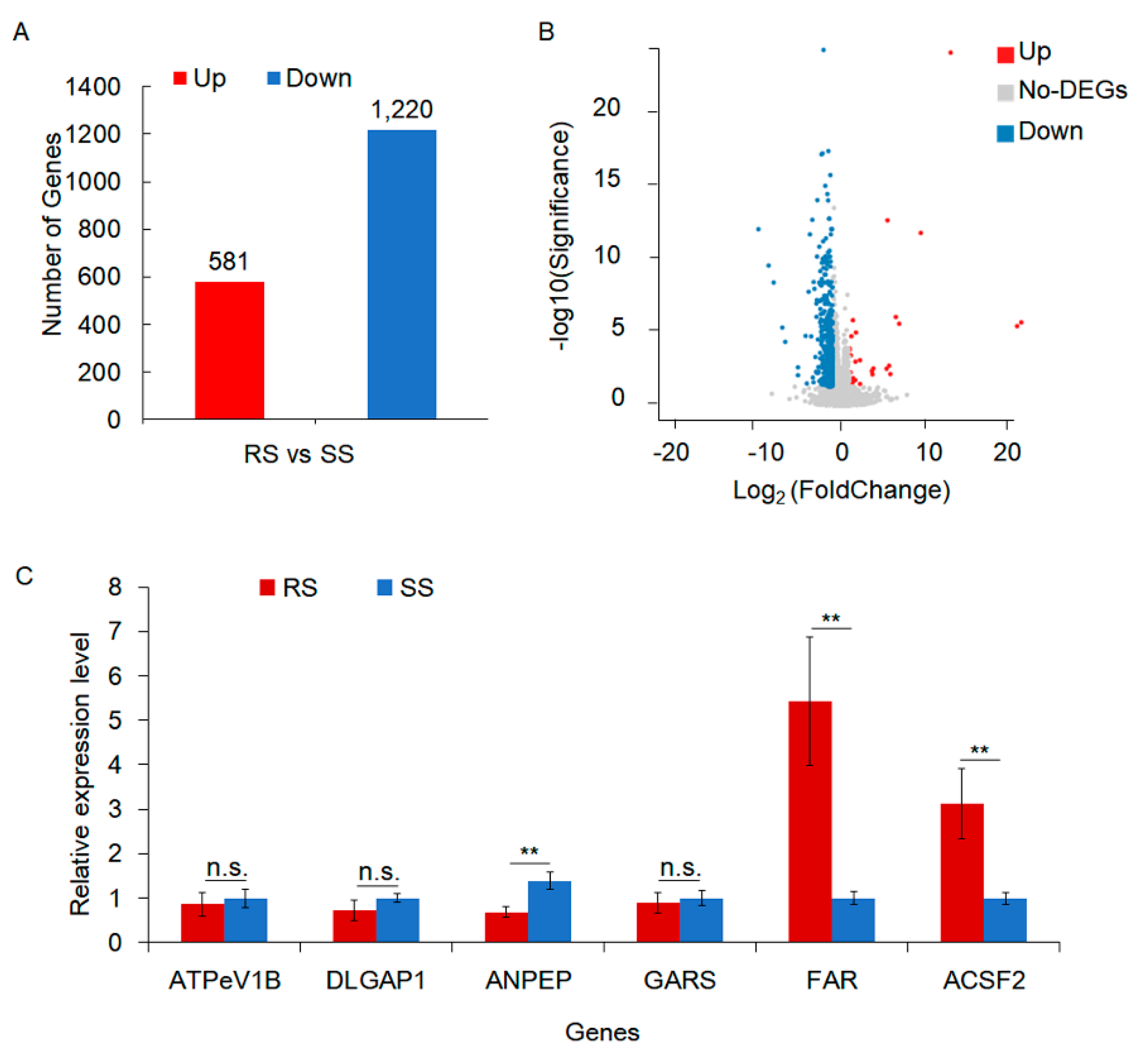 Preprints 102005 g001