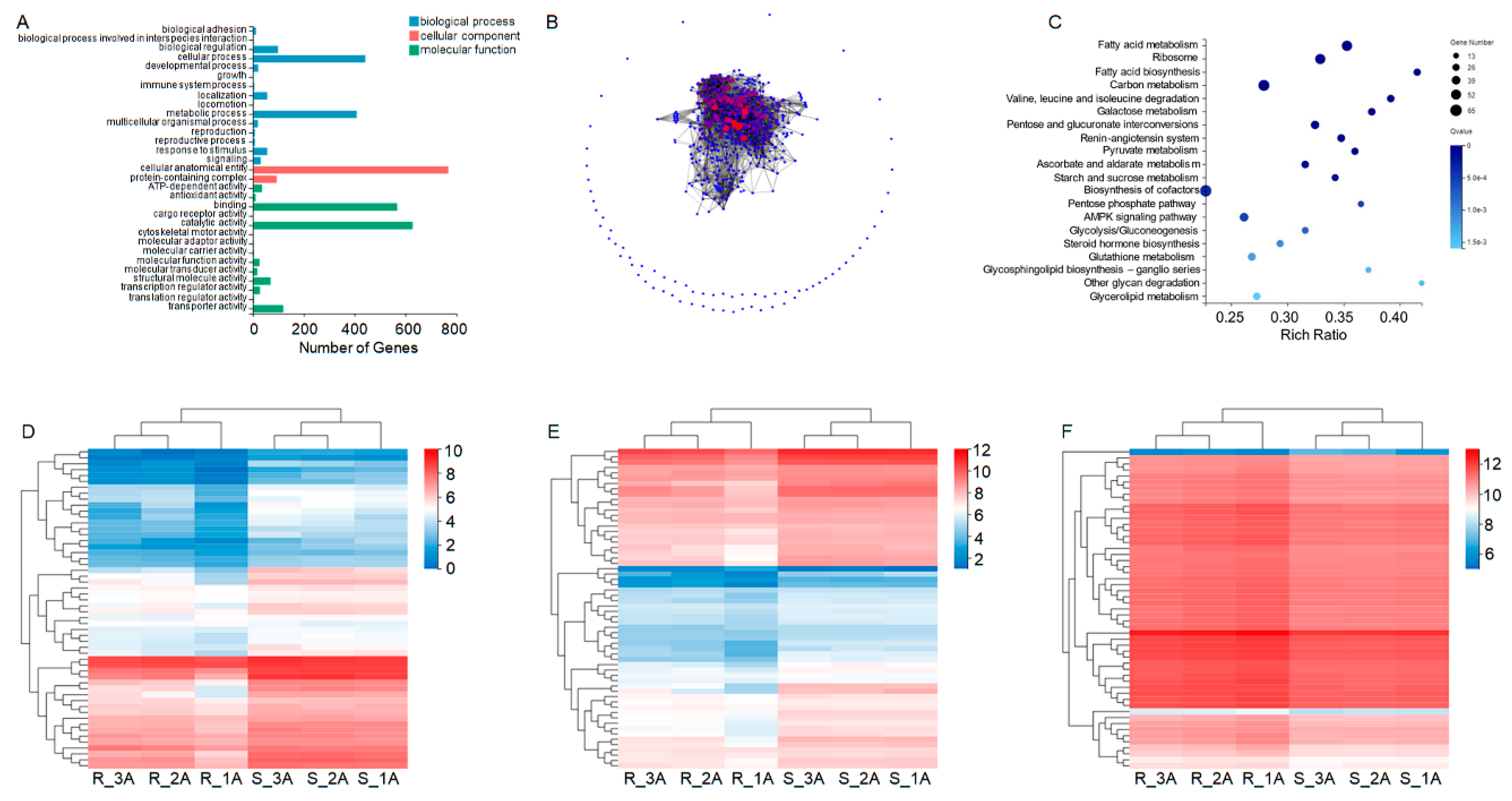 Preprints 102005 g002