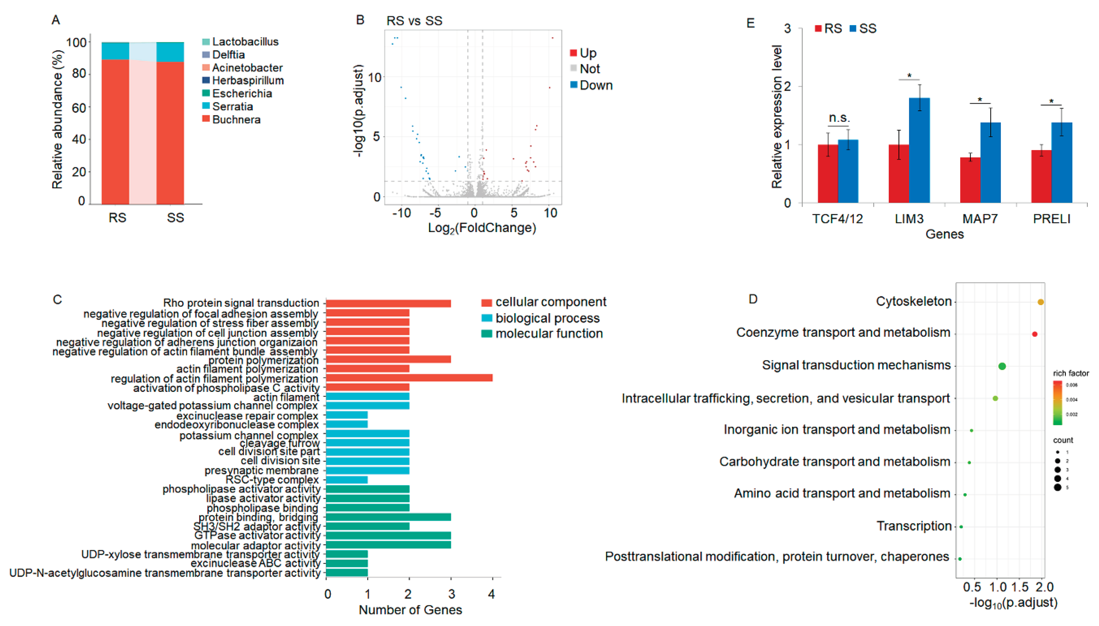 Preprints 102005 g003