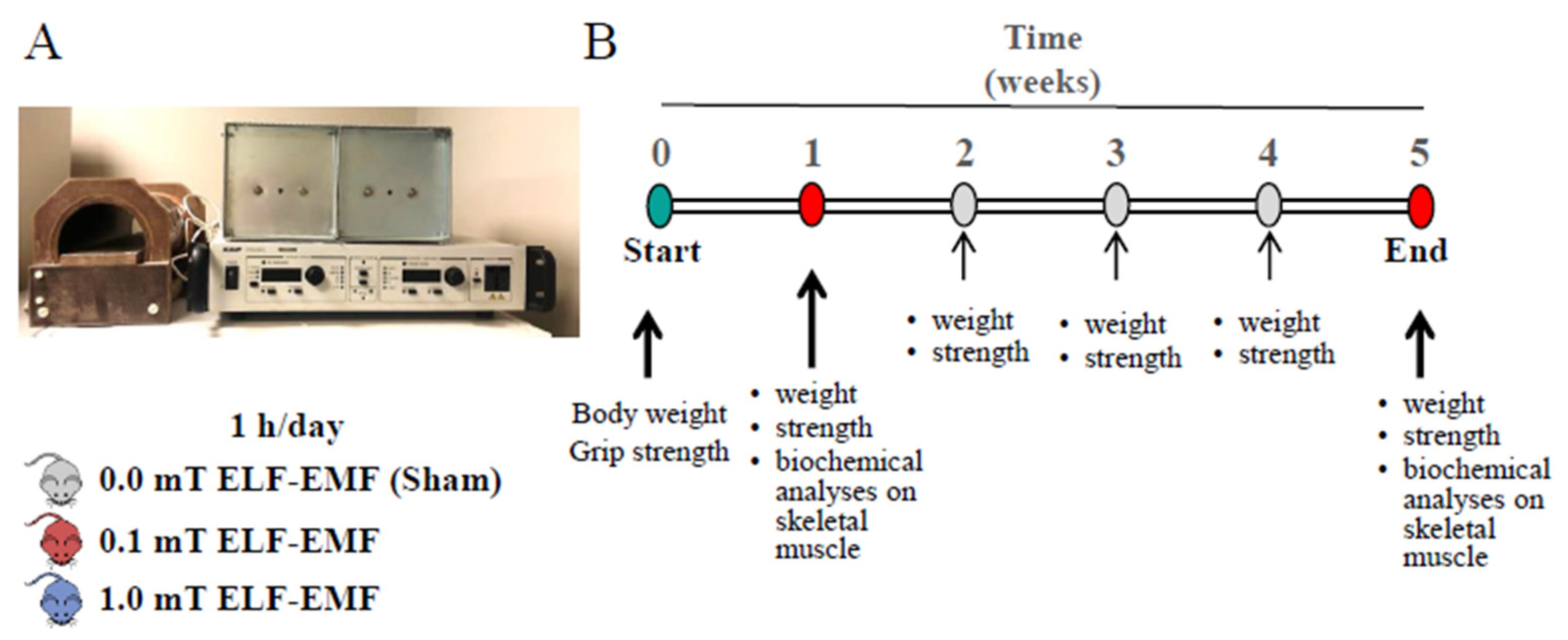 Preprints 114389 g001