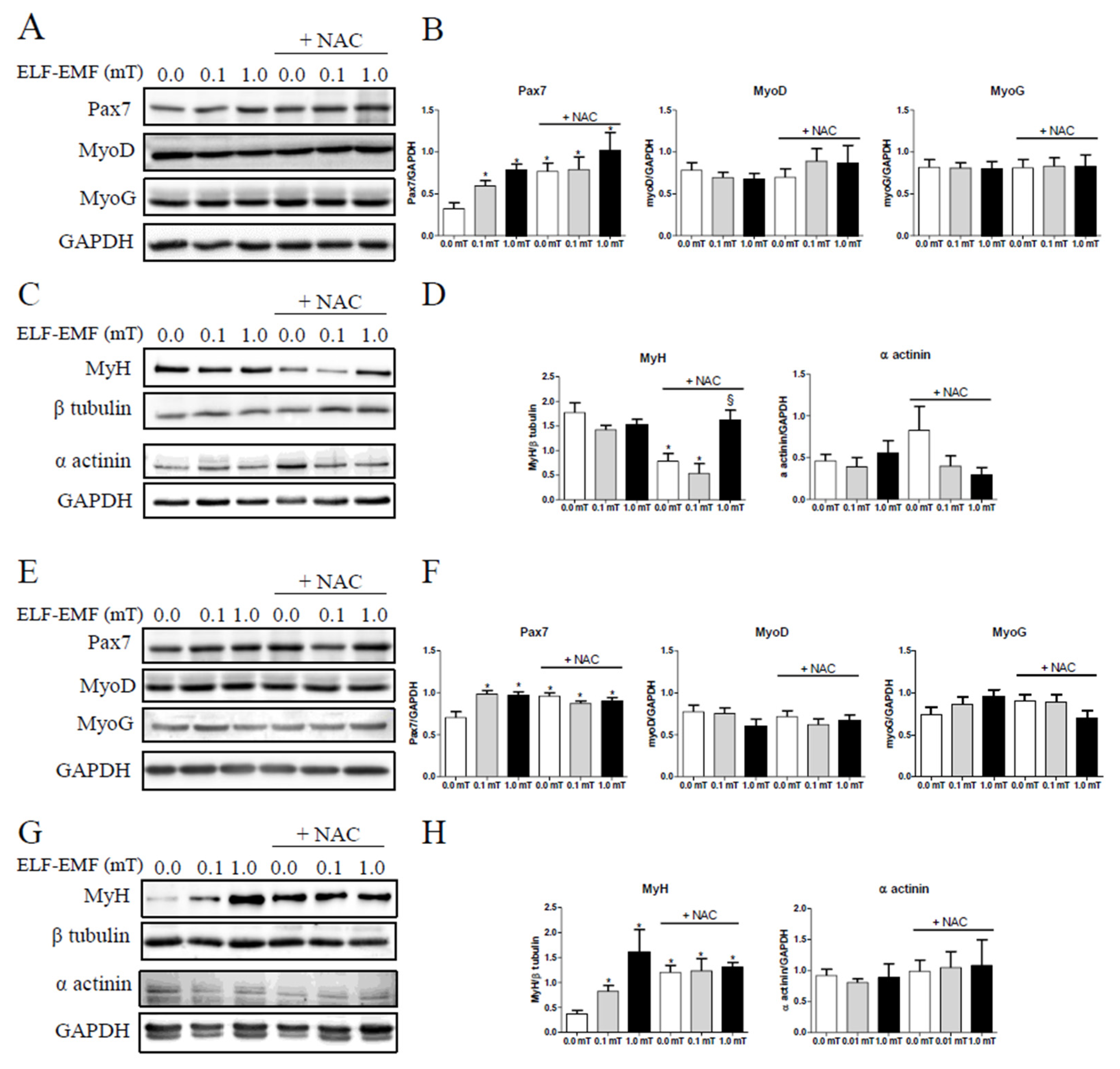 Preprints 114389 g003