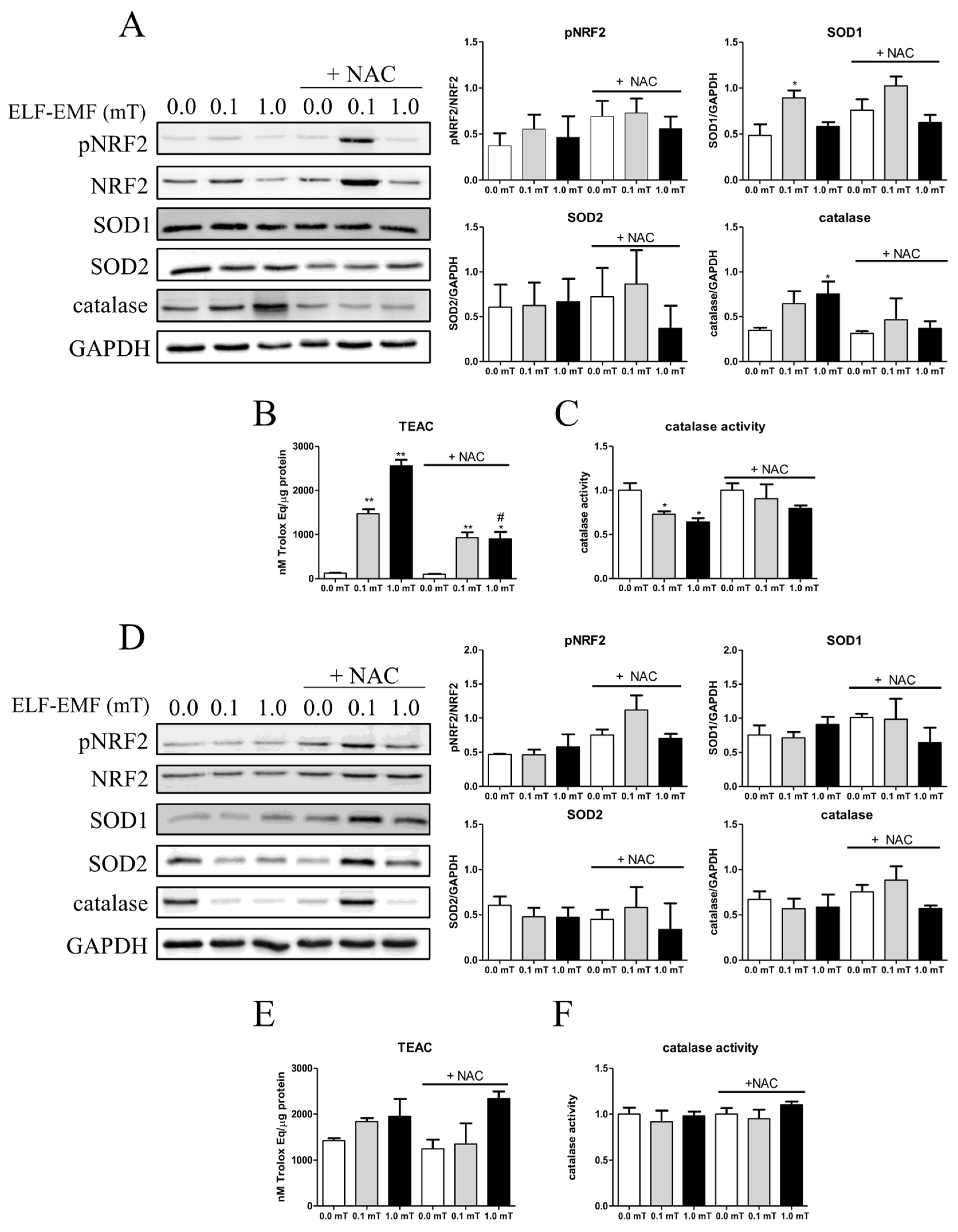 Preprints 114389 g005