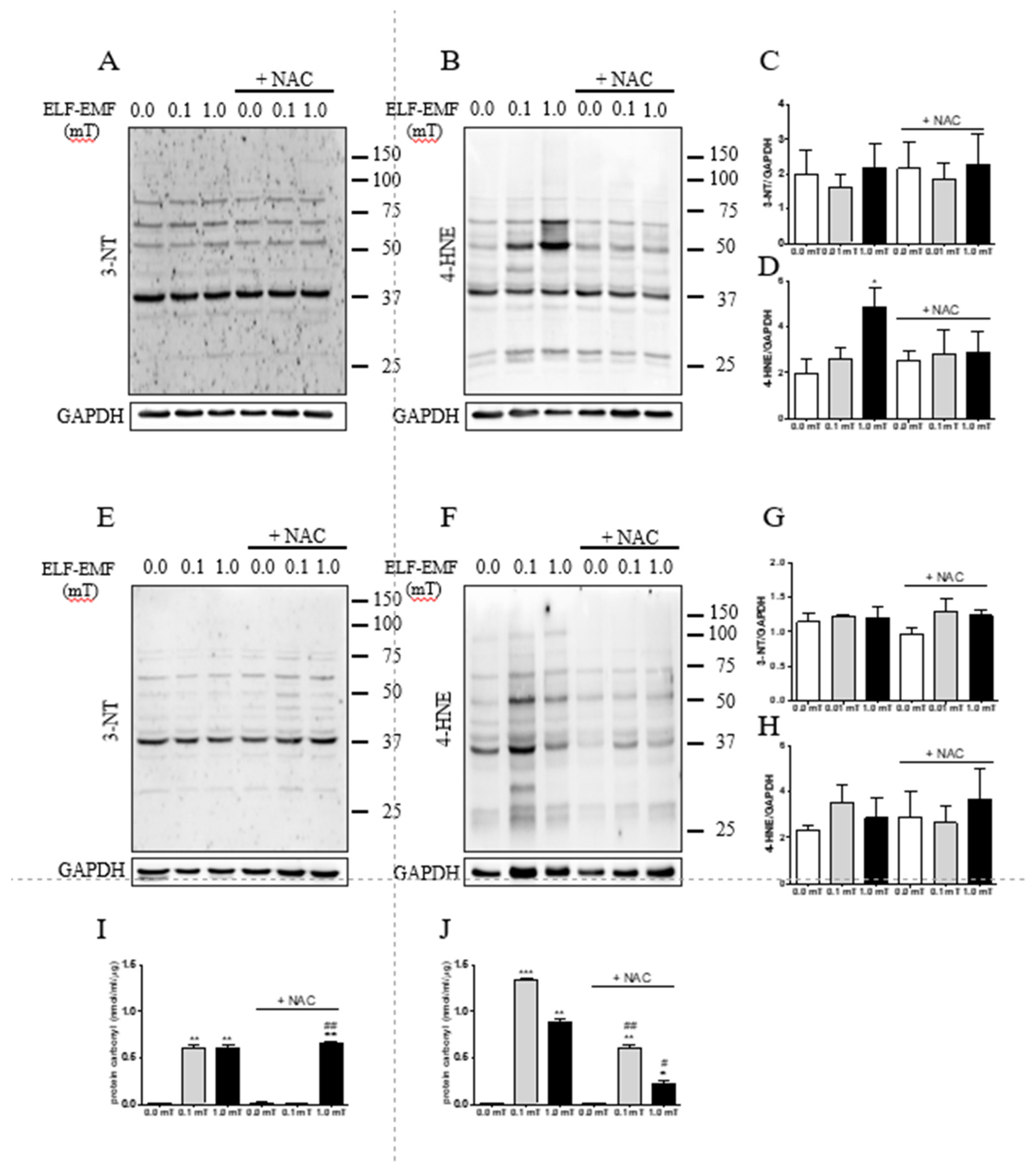 Preprints 114389 g006