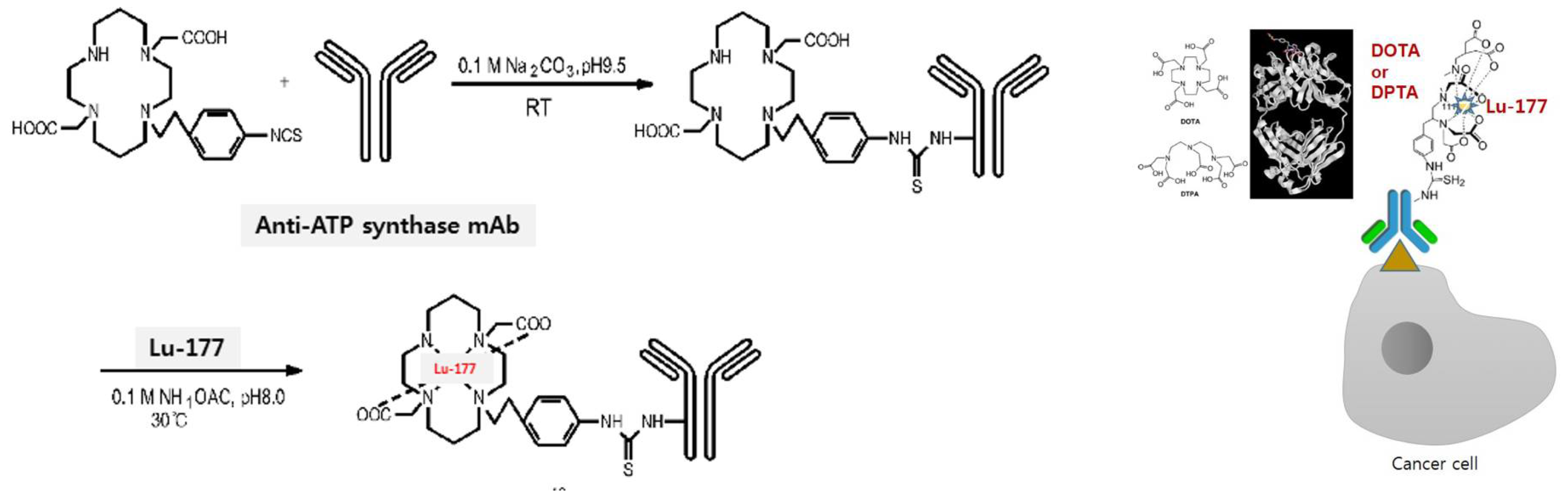 Preprints 107050 g001