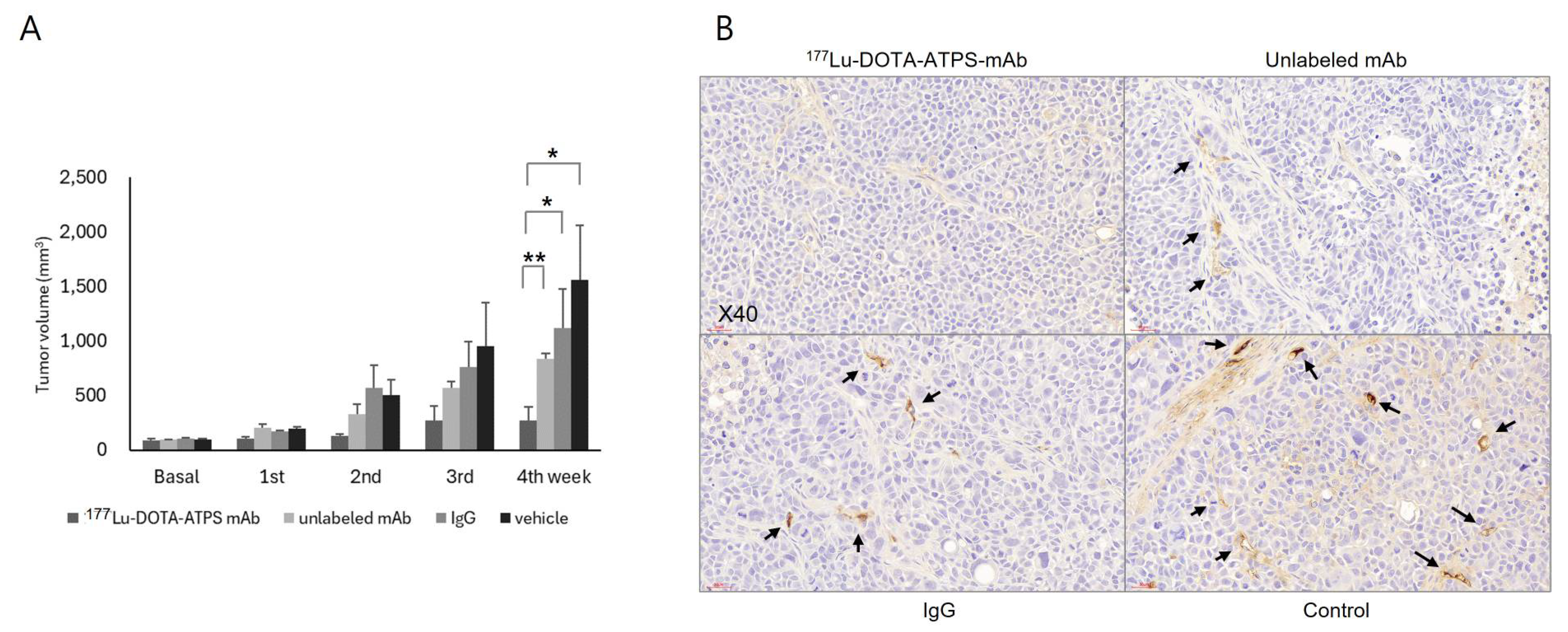 Preprints 107050 g007a