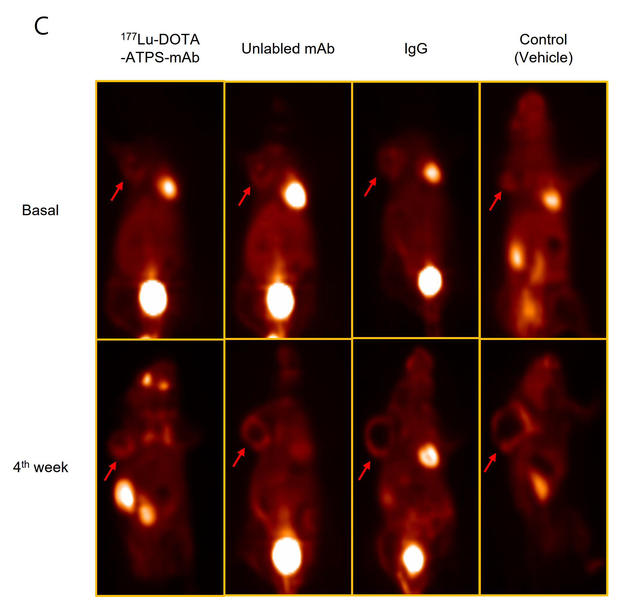 Preprints 107050 g007b