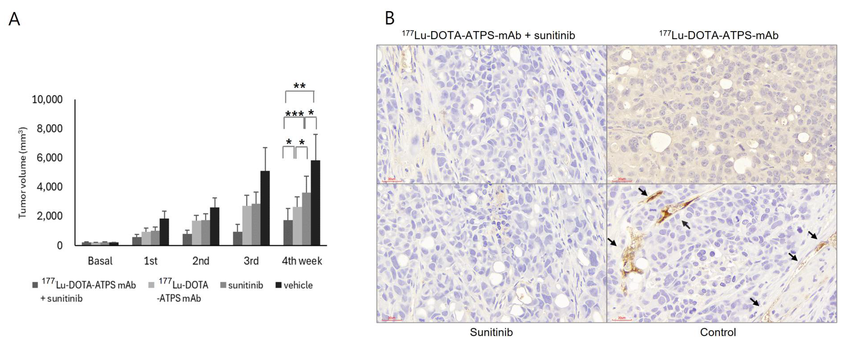 Preprints 107050 g008a