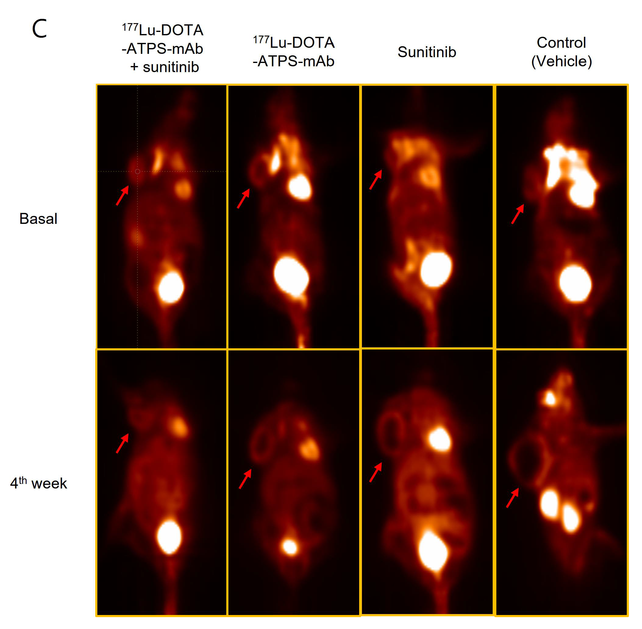 Preprints 107050 g008b