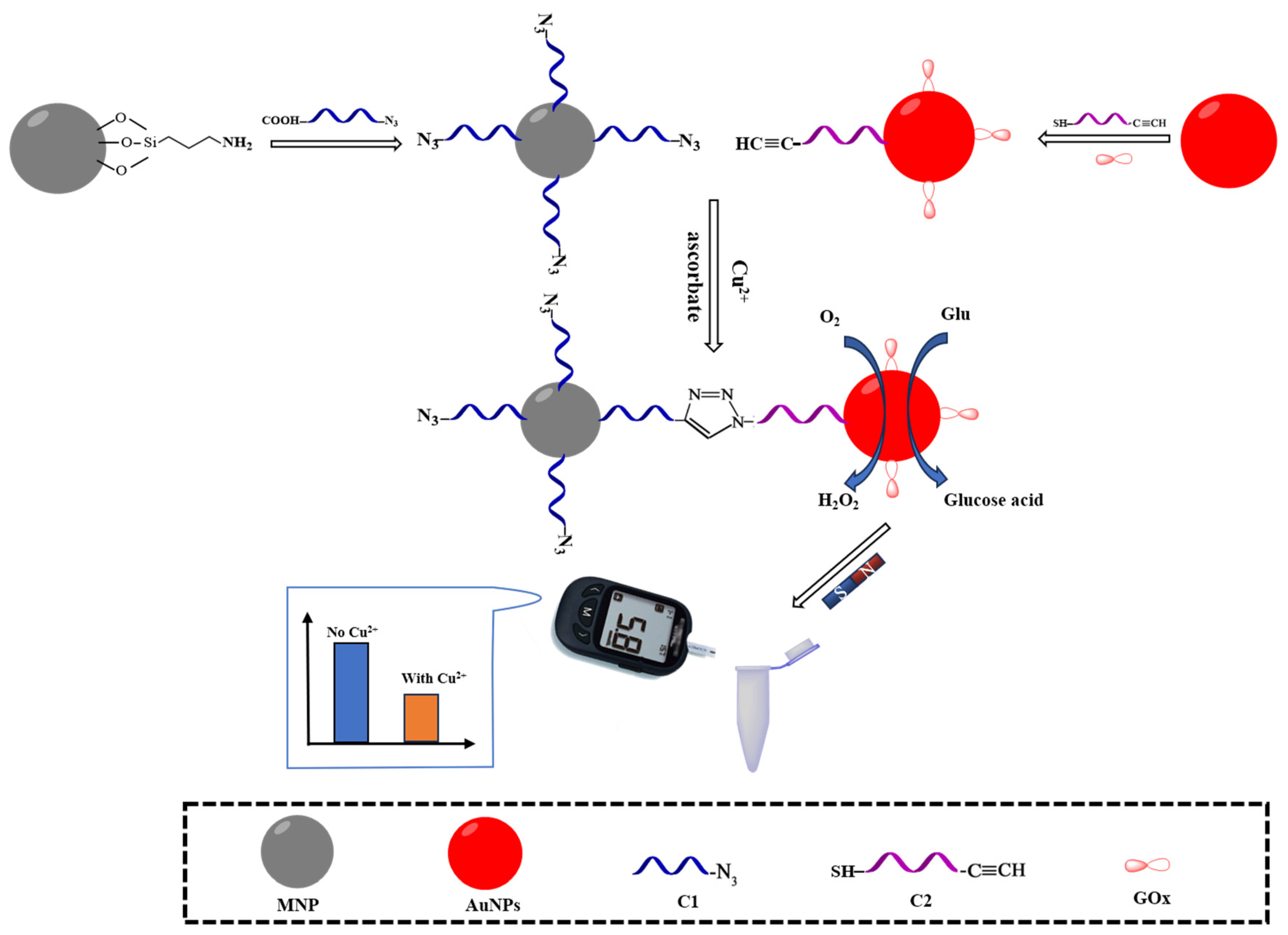 Preprints 119805 g001