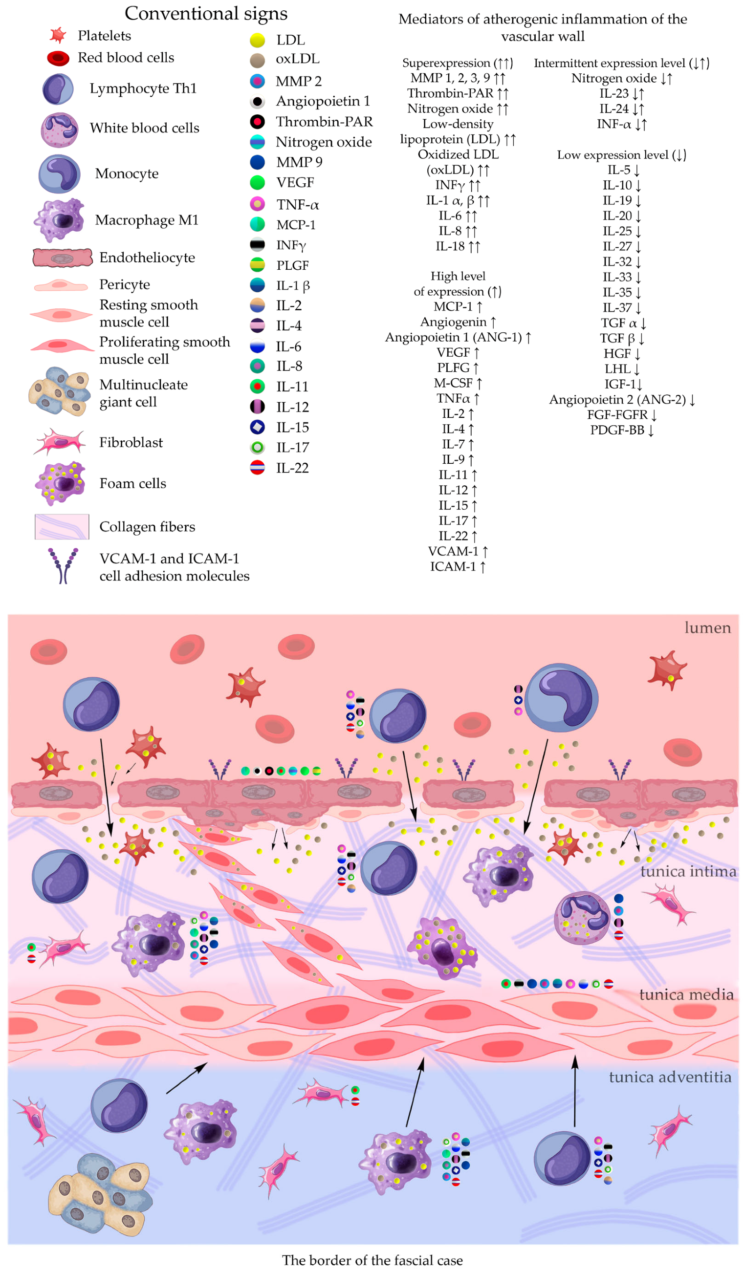 Preprints 116862 g001