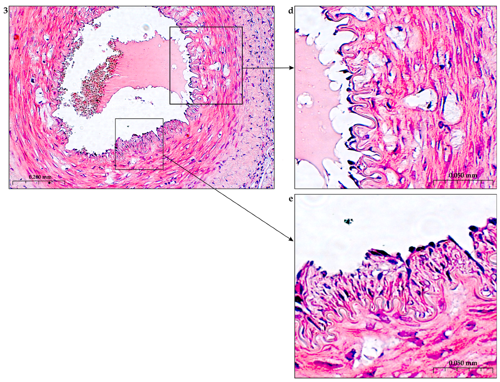 Preprints 116862 g004