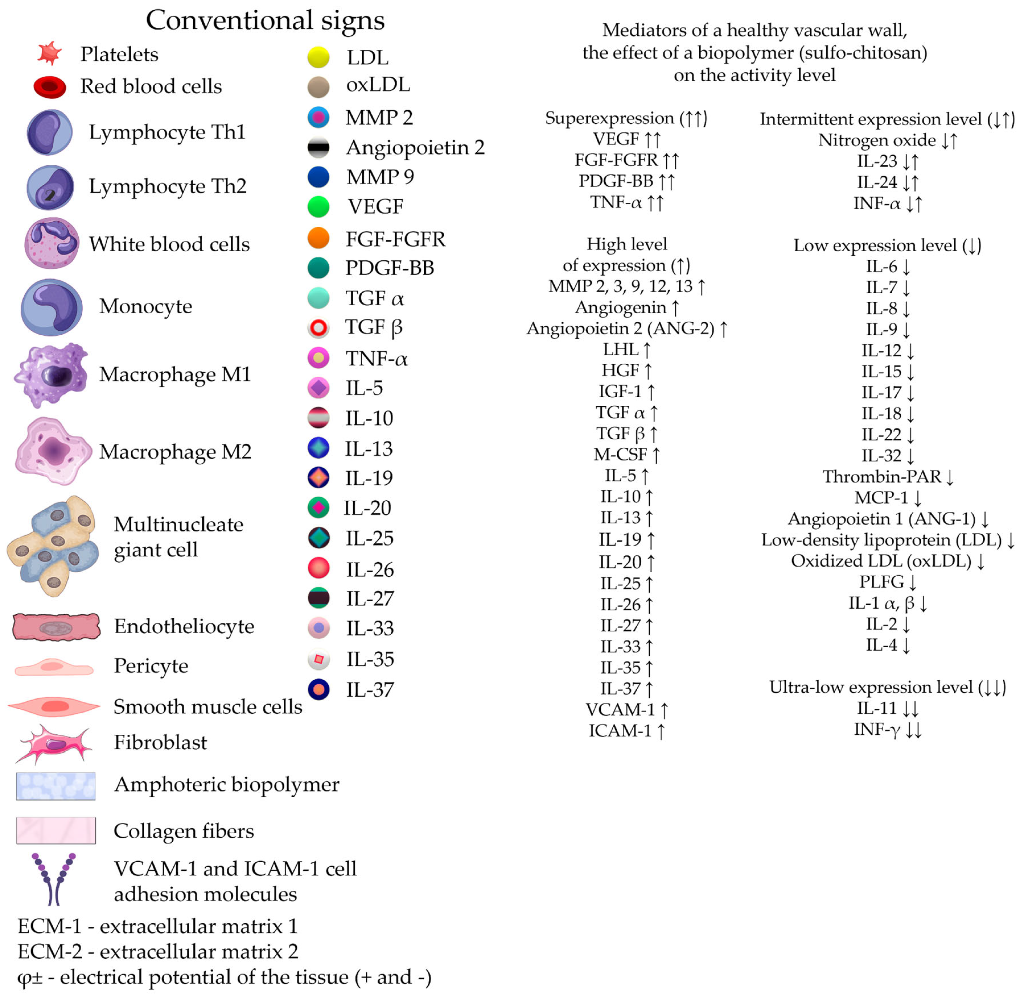 Preprints 116862 g008a